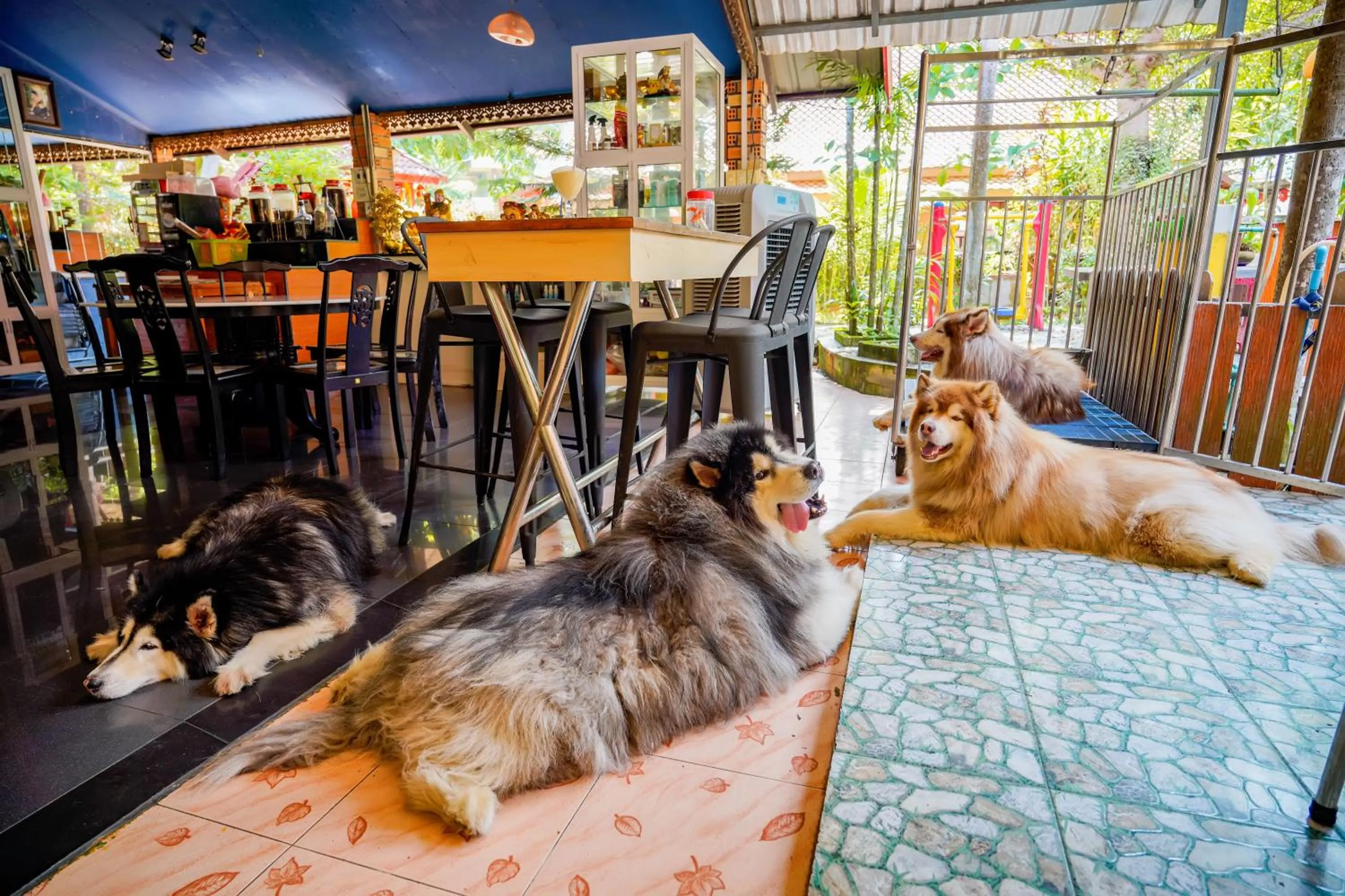 Pets in Happy Garden Resort Betong
