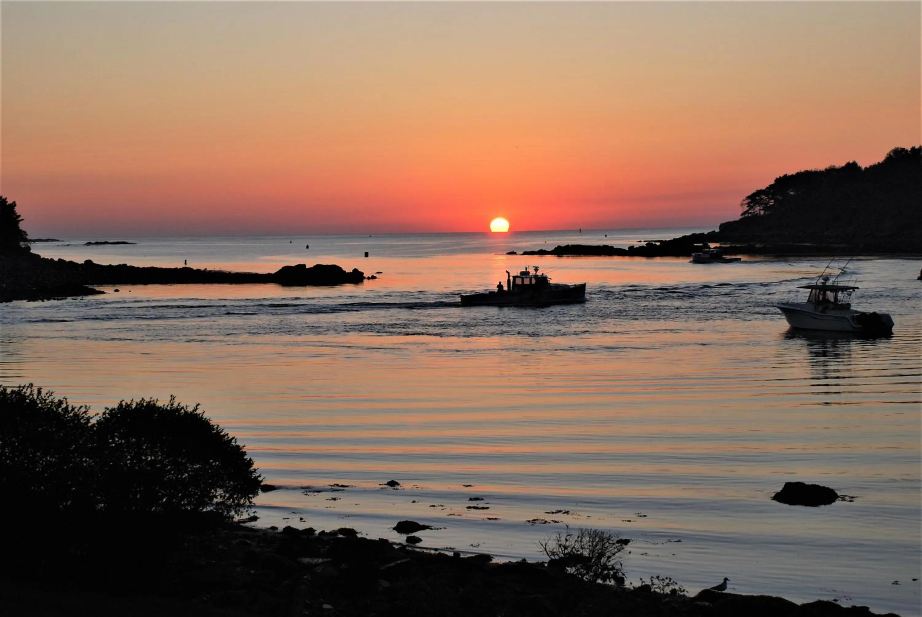 Natural landscape in Dockside Guest Quarters