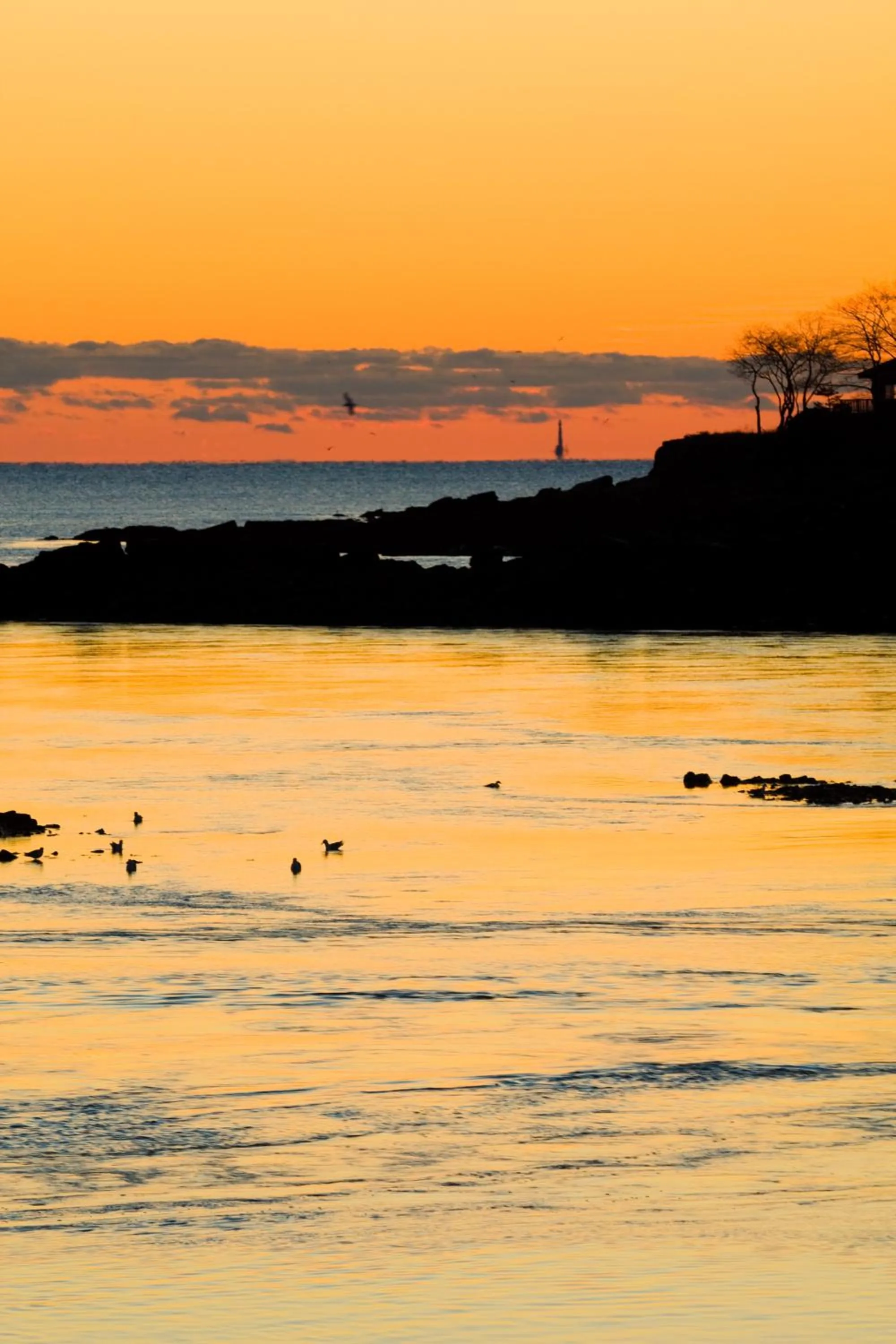 Natural landscape in Dockside Guest Quarters
