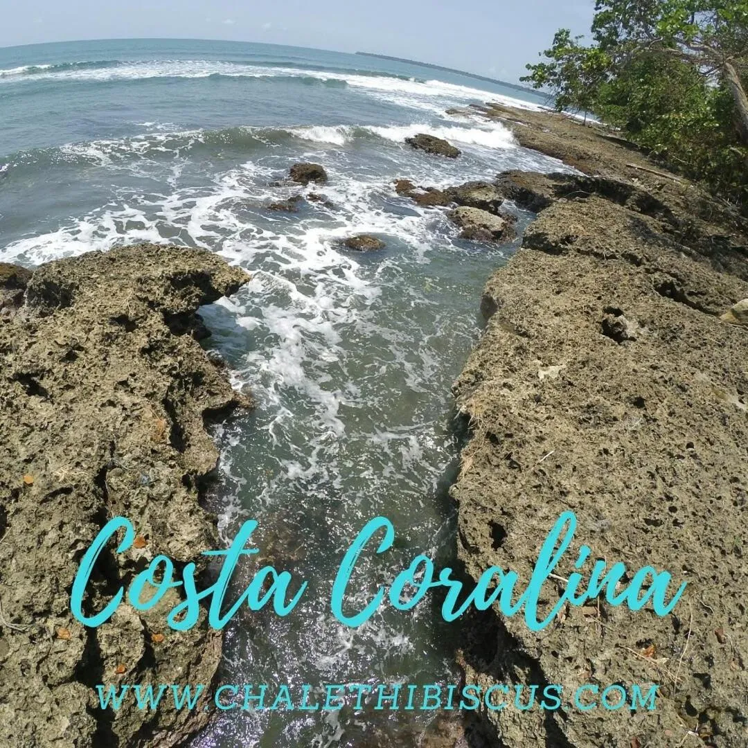 Chalet Y Cabinas Hibiscus