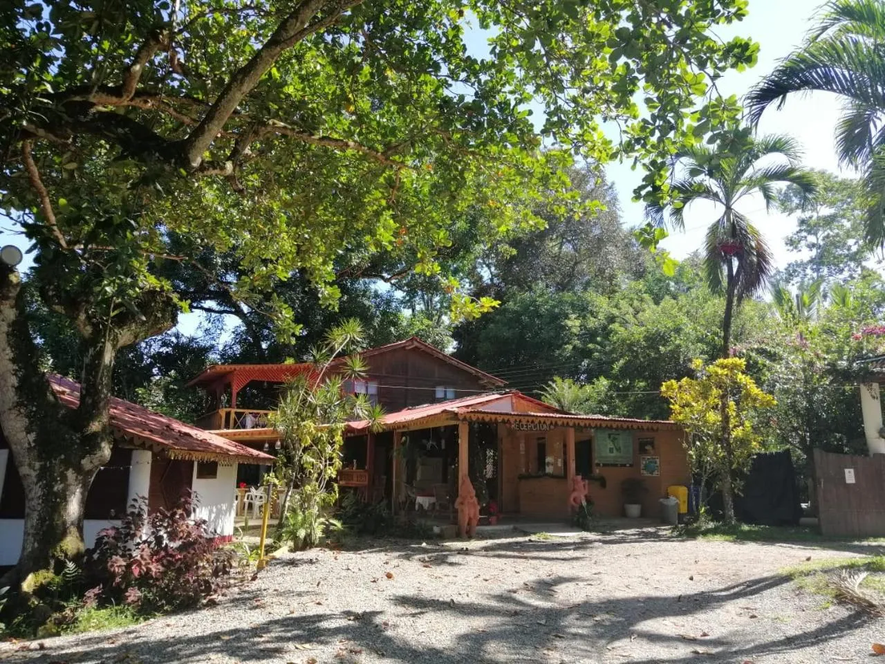 Lobby or reception in Chalet Y Cabinas Hibiscus