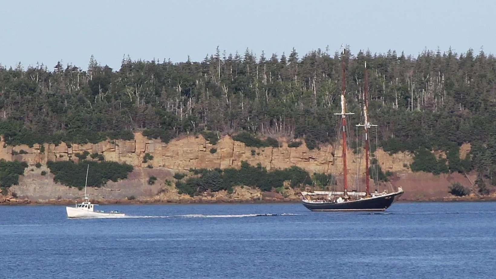 Sea view in The Fiddle and the Sea Bed and Breakfast