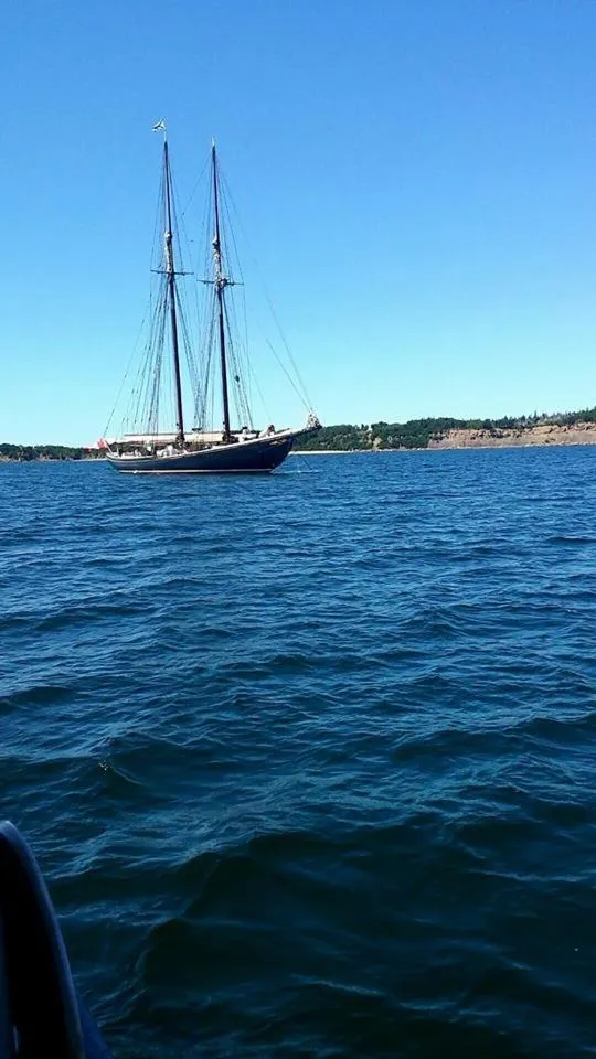 Other in The Fiddle and the Sea Bed and Breakfast