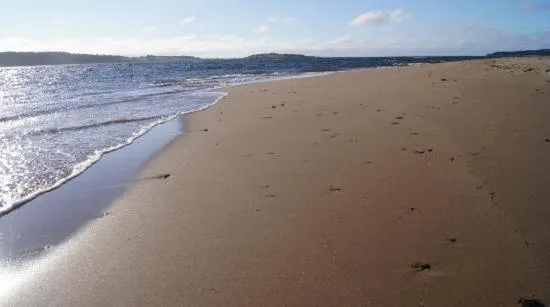 Beach in The Fiddle and the Sea Bed and Breakfast