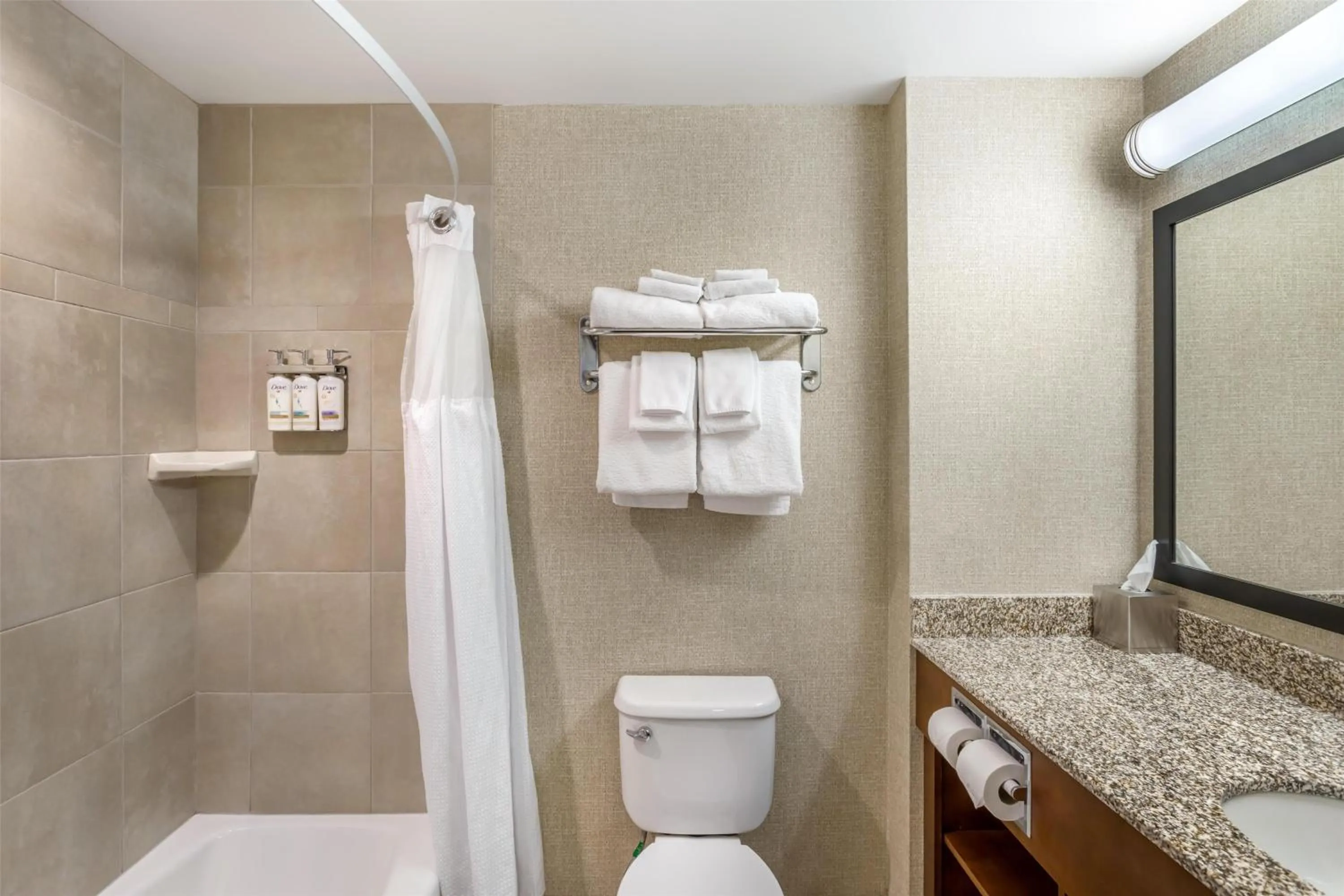 Bathroom in Best Western Plus Service Inn & Suites