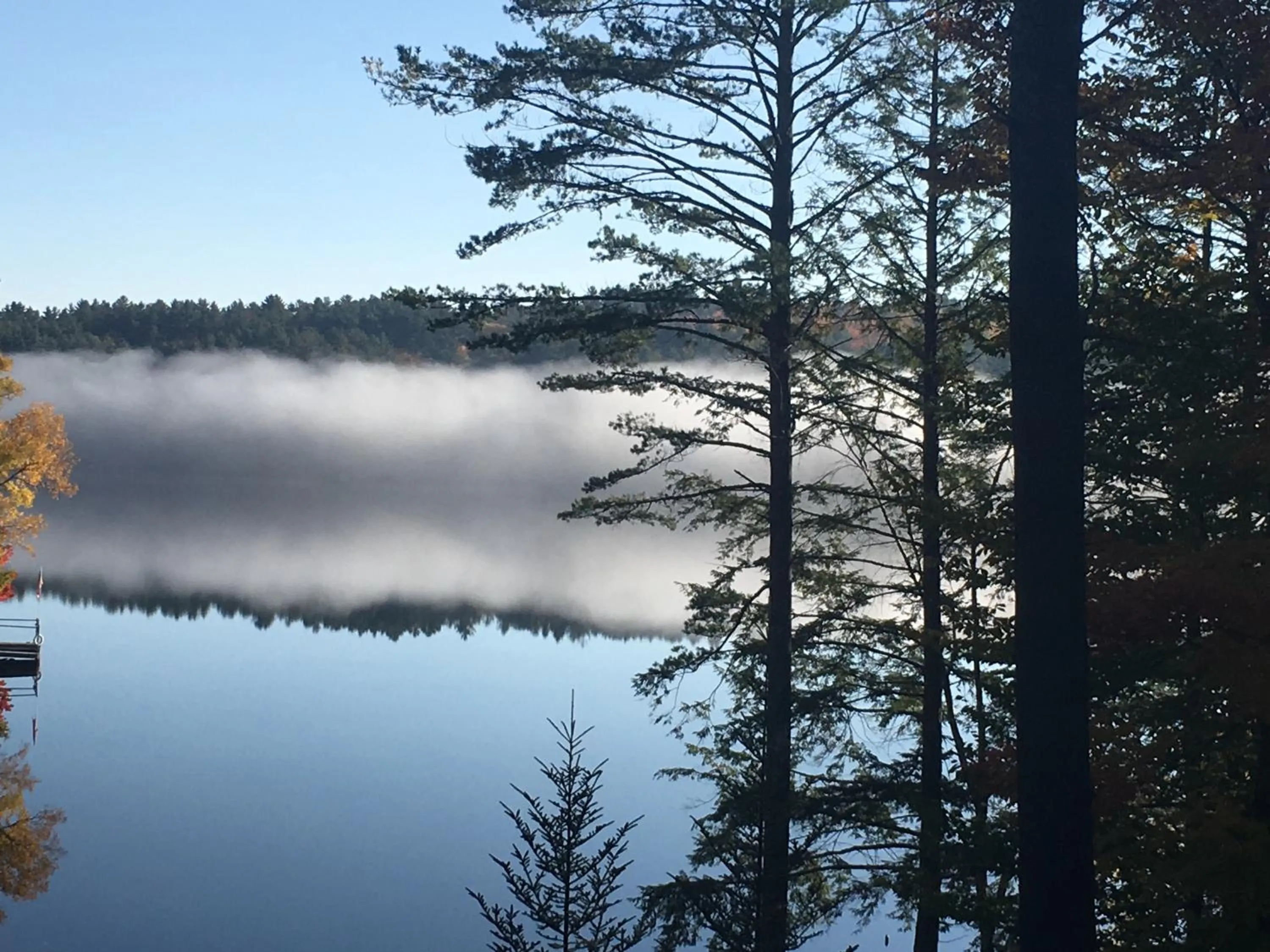 Lake view in The Fern Lodge