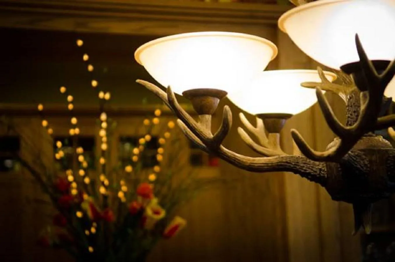 Dining area in The Fern Lodge