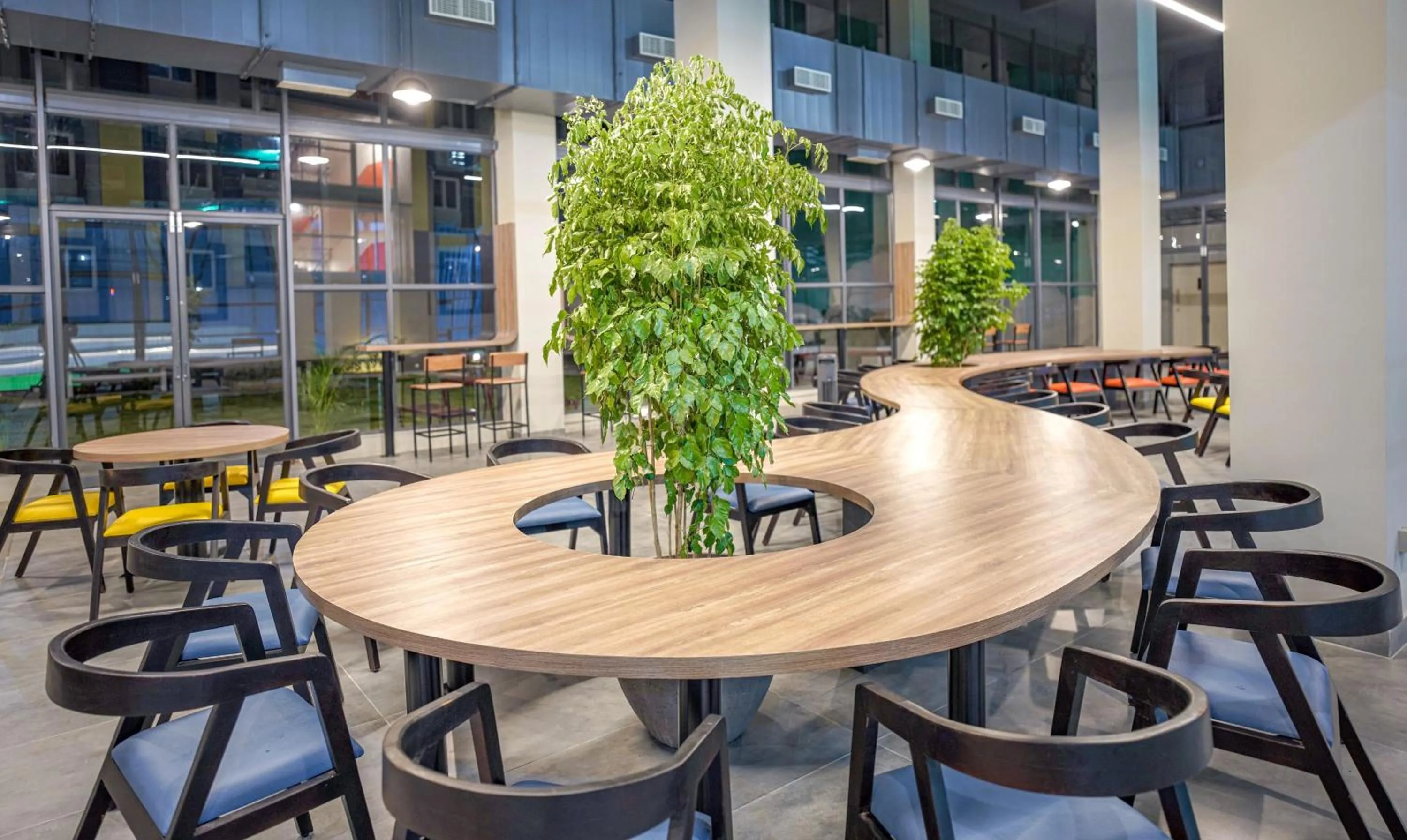 Day in Yello! Stays ITP