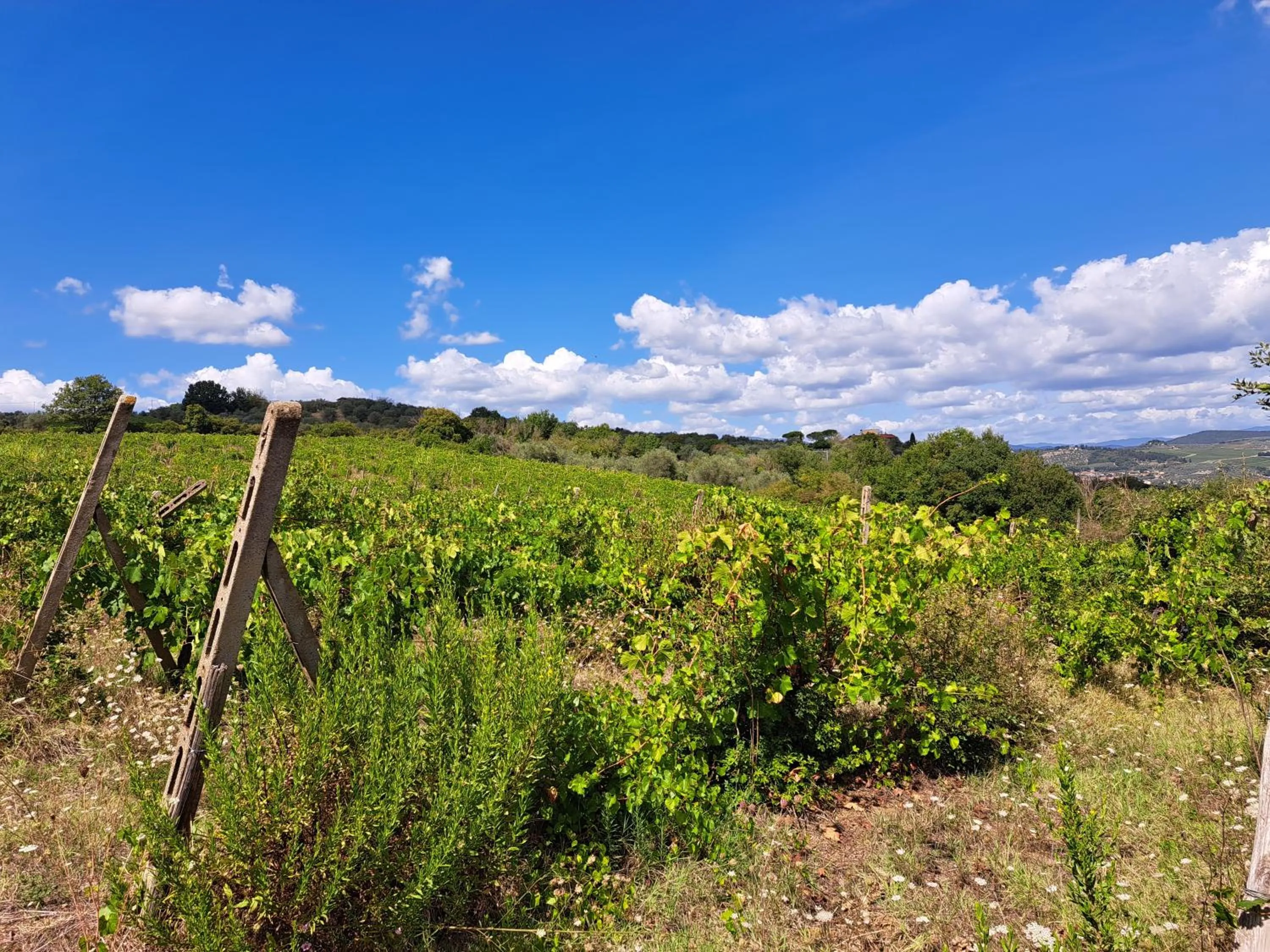 La Favilletta Casa Vacanze
