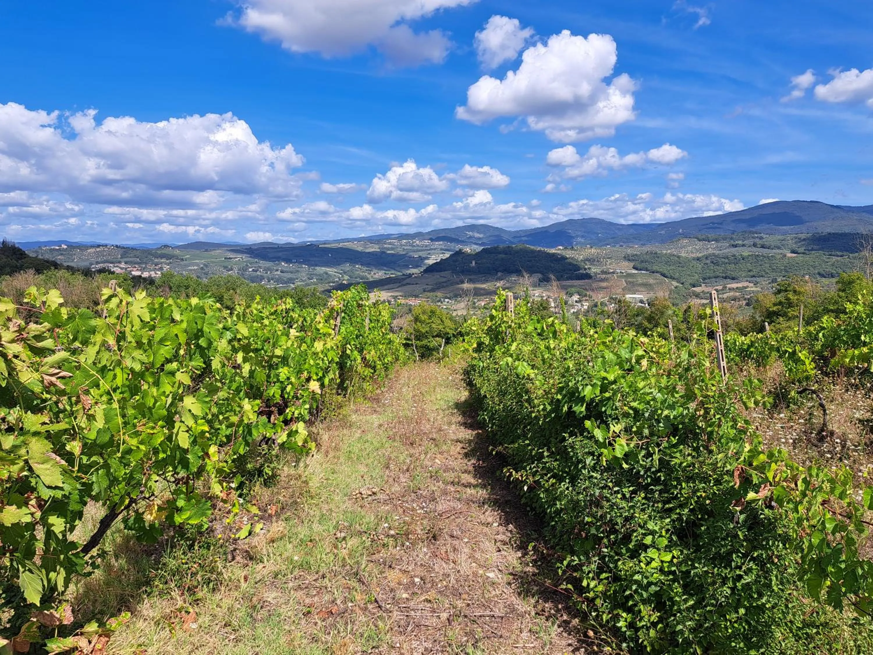 La Favilletta Casa Vacanze