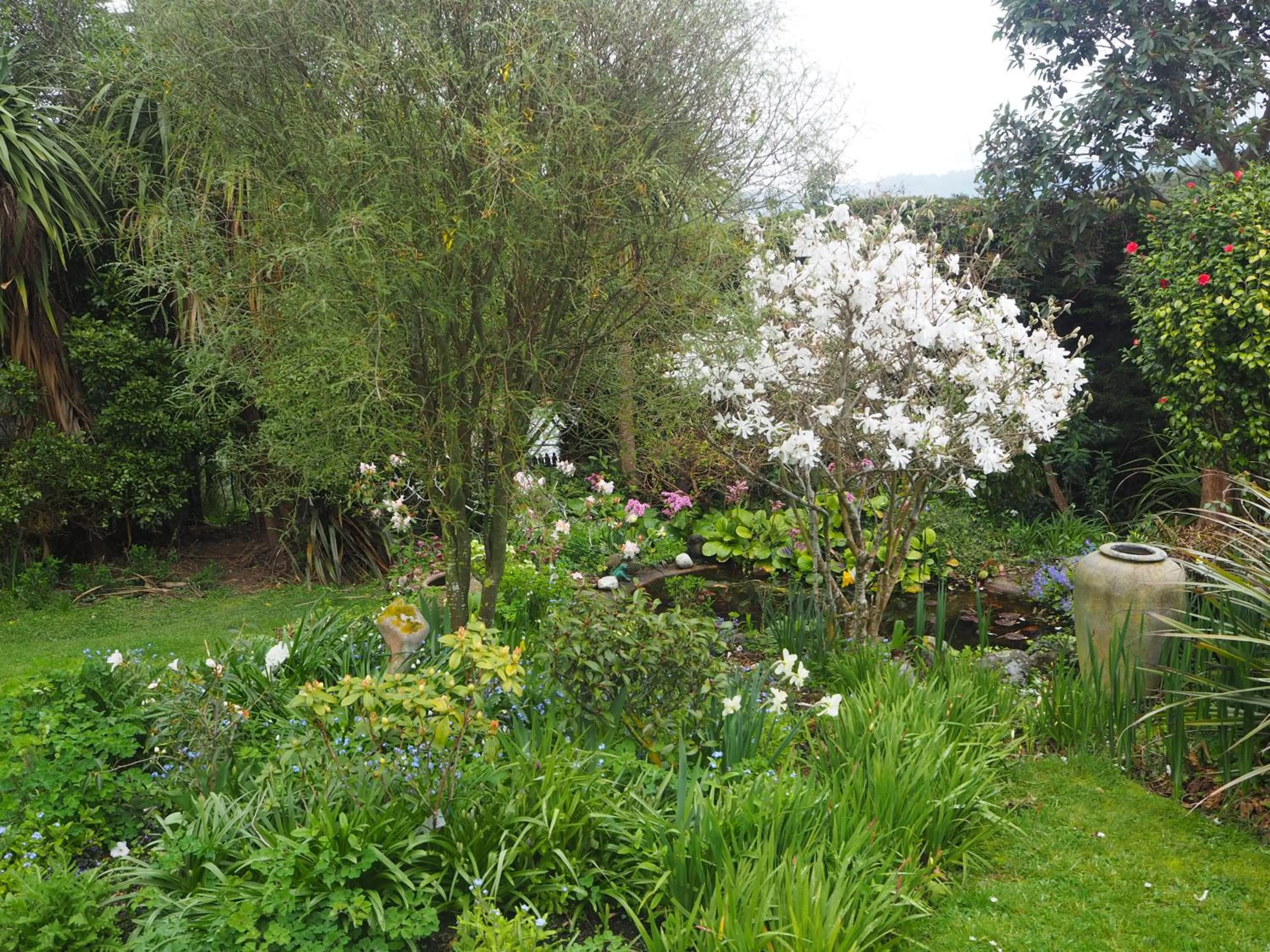 Captain Eady's Lookout