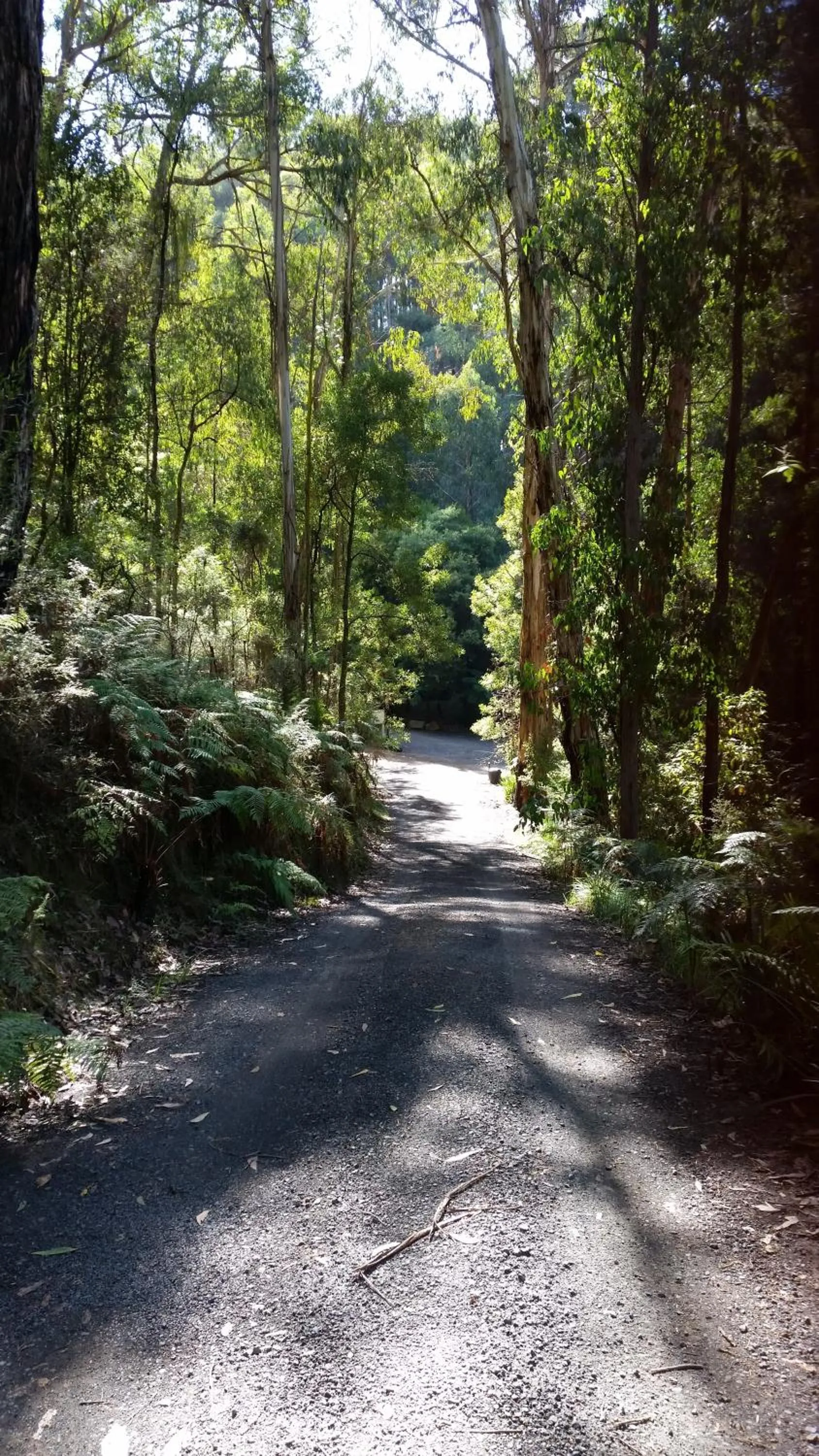Natural landscape in Myers Creek Cascades Luxury Cottages