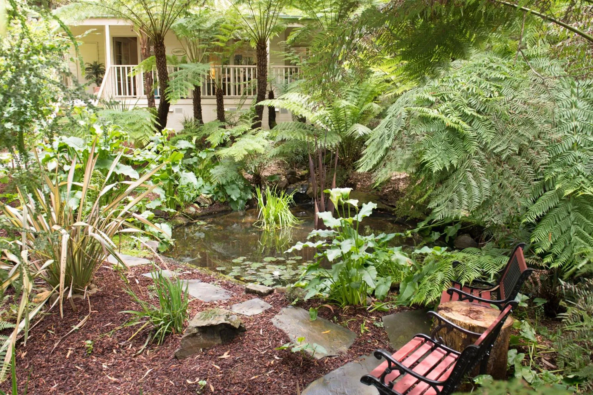 Garden view in Myers Creek Cascades Luxury Cottages
