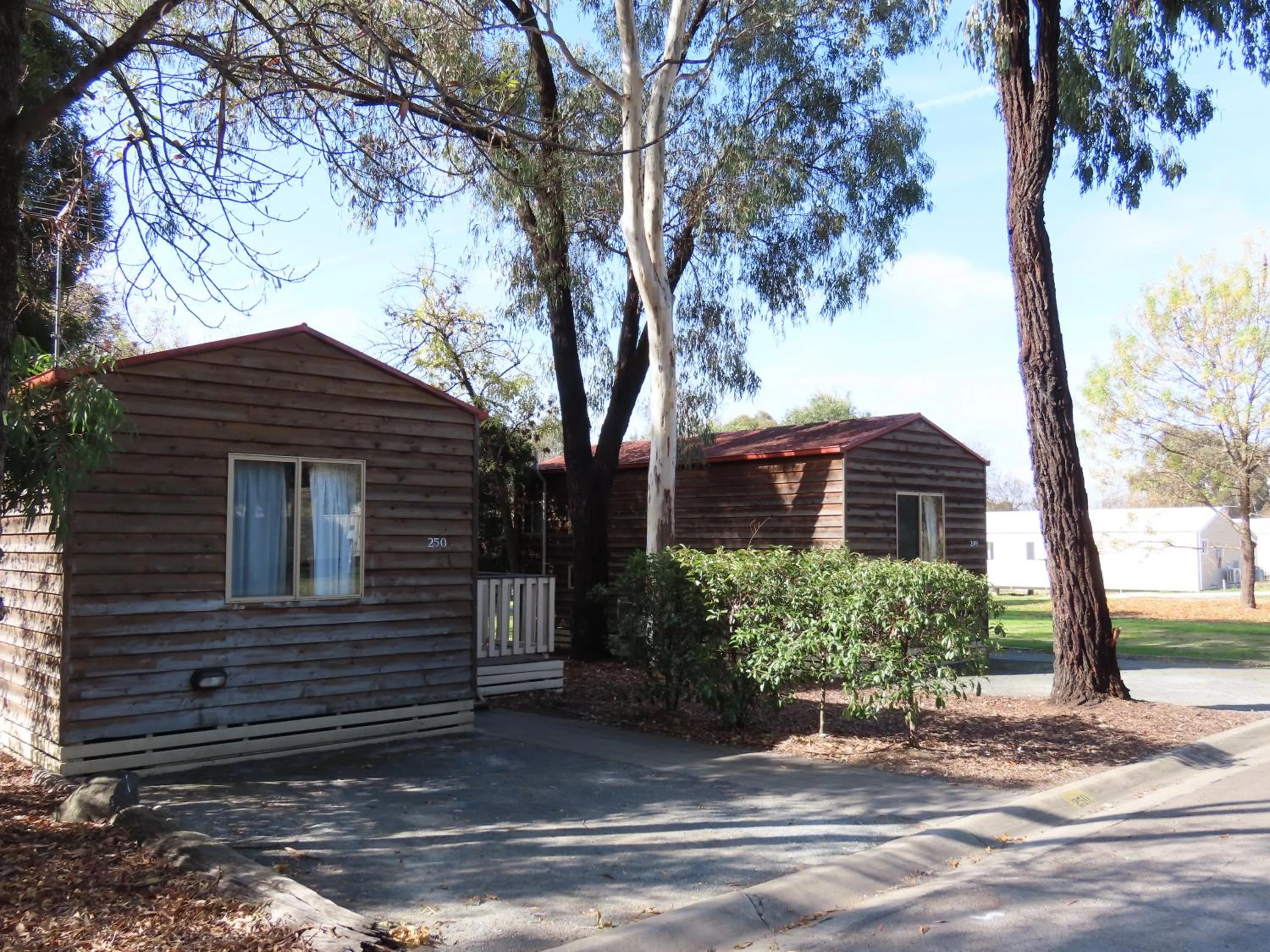 Spring in Albury Gardens Tourist Park