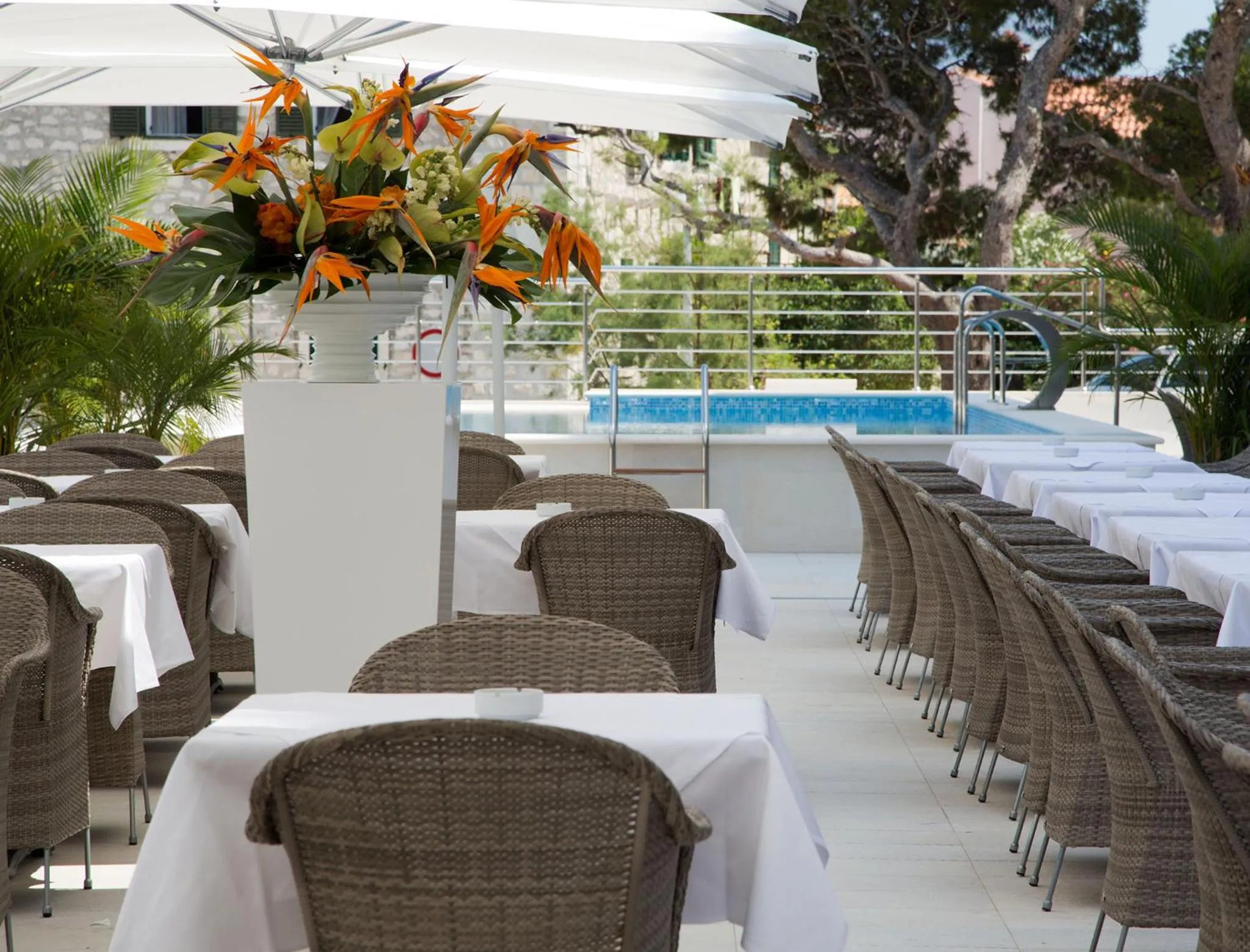 Restaurant/places to eat in Aparthotel Miramare