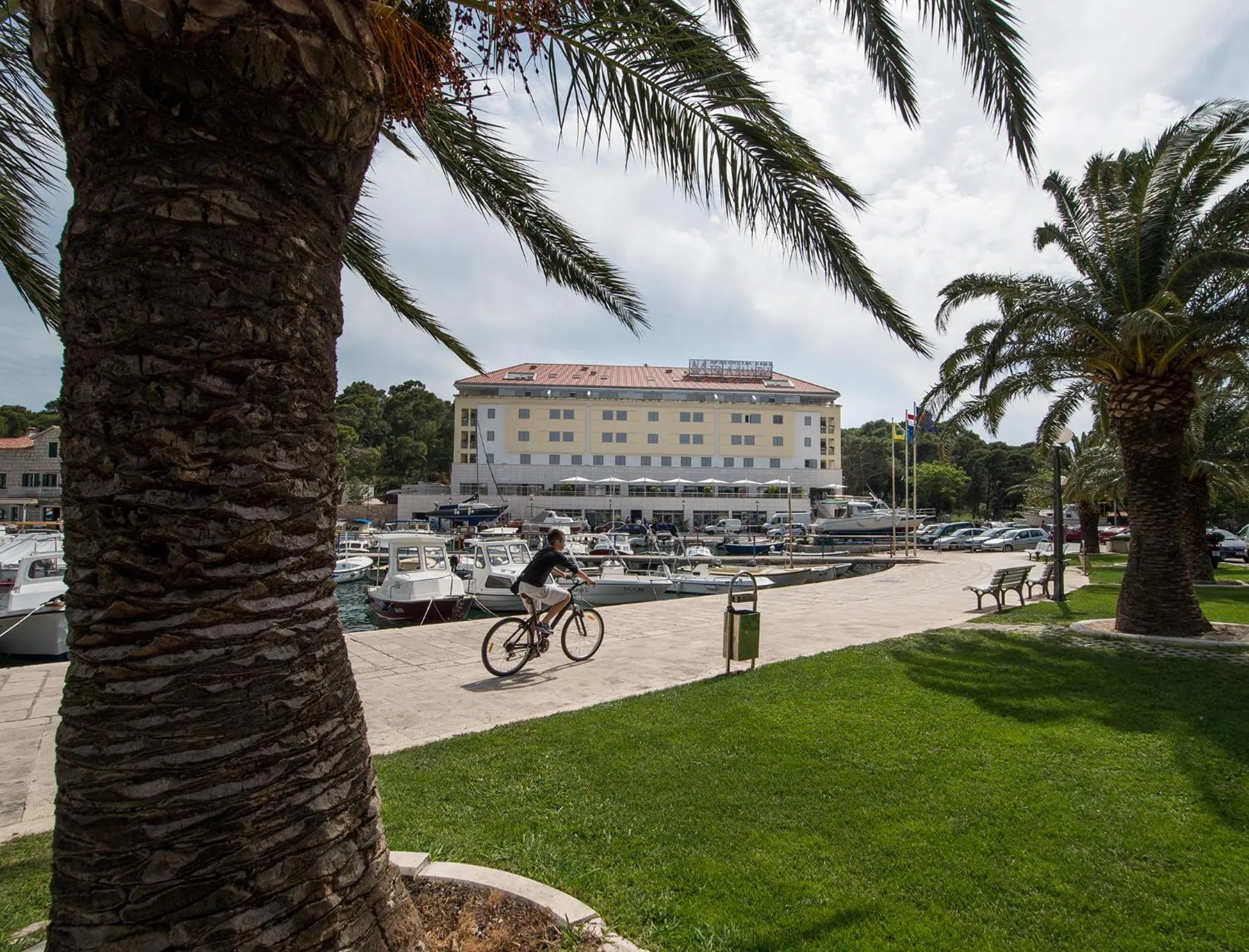 Area and facilities in Aparthotel Miramare