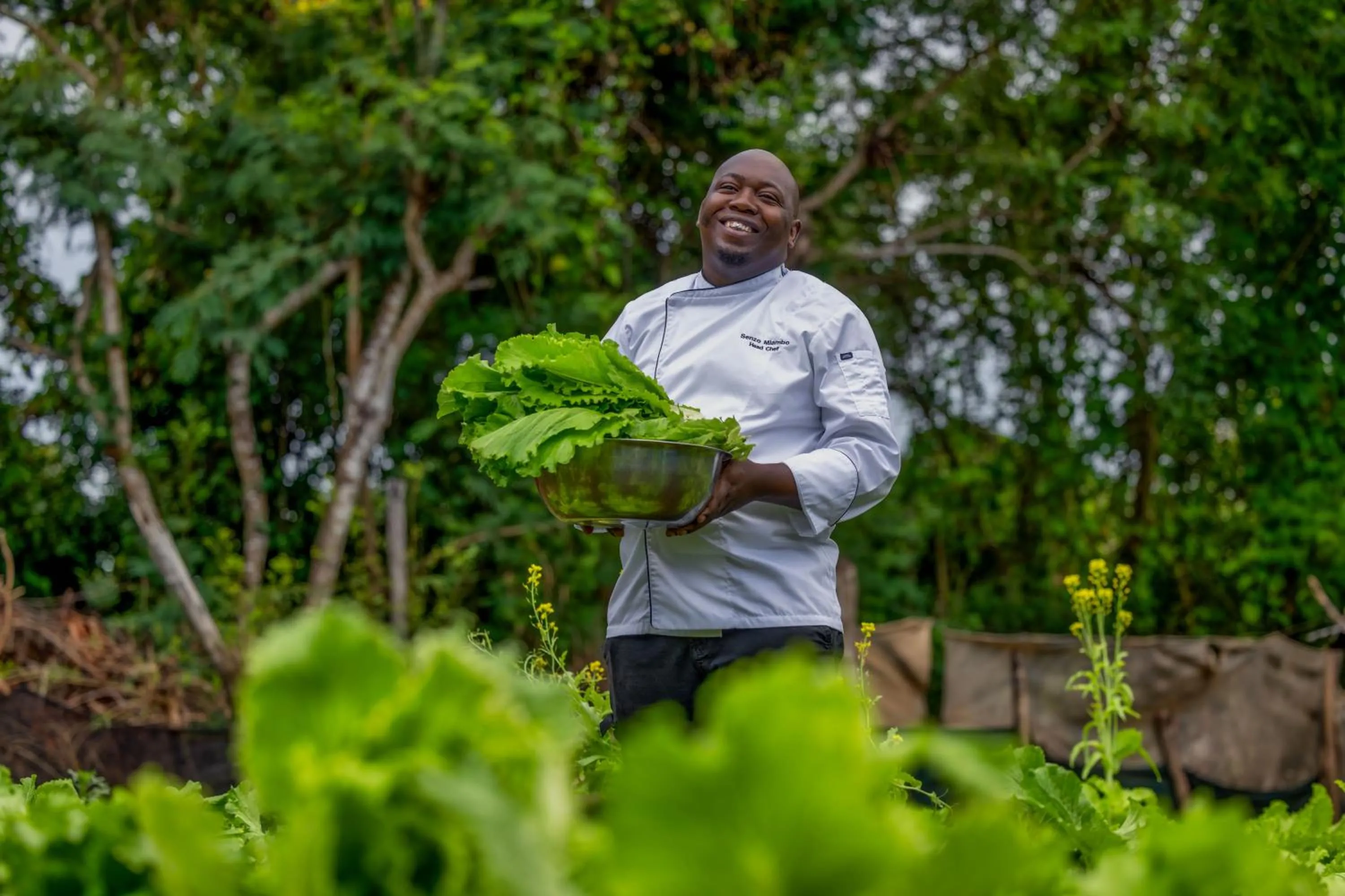 Garden in Kilindi Zanzibar