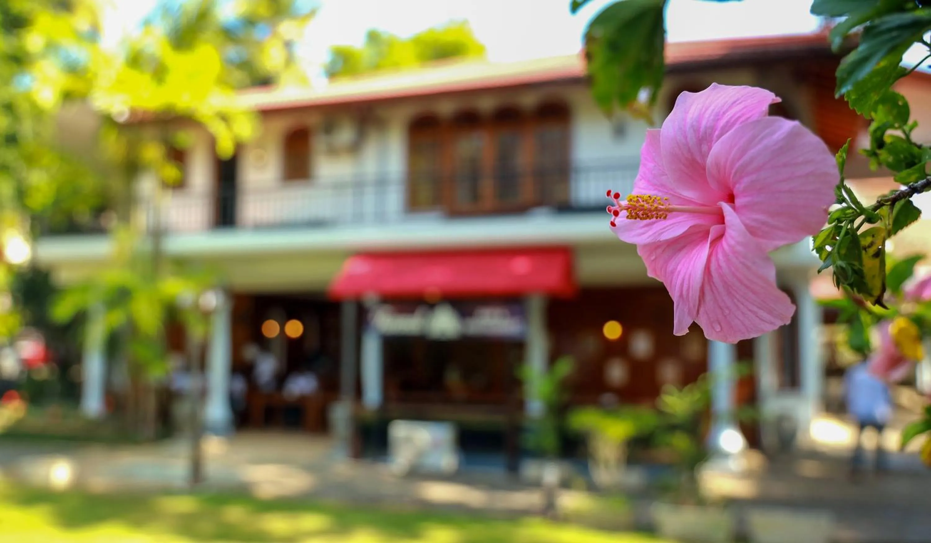Property building in Wisdom Boutique Resort