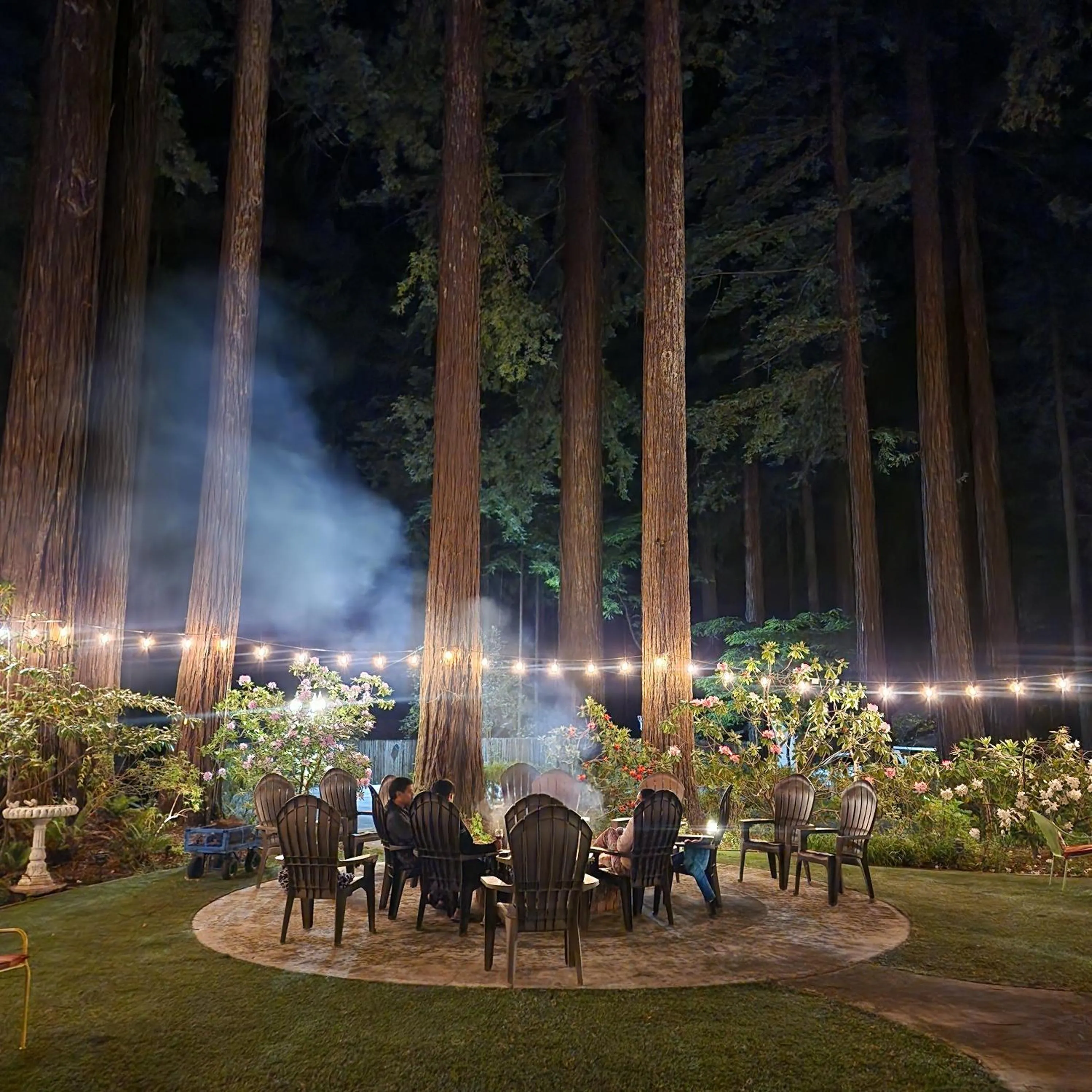 Night in Miranda Gardens Resort