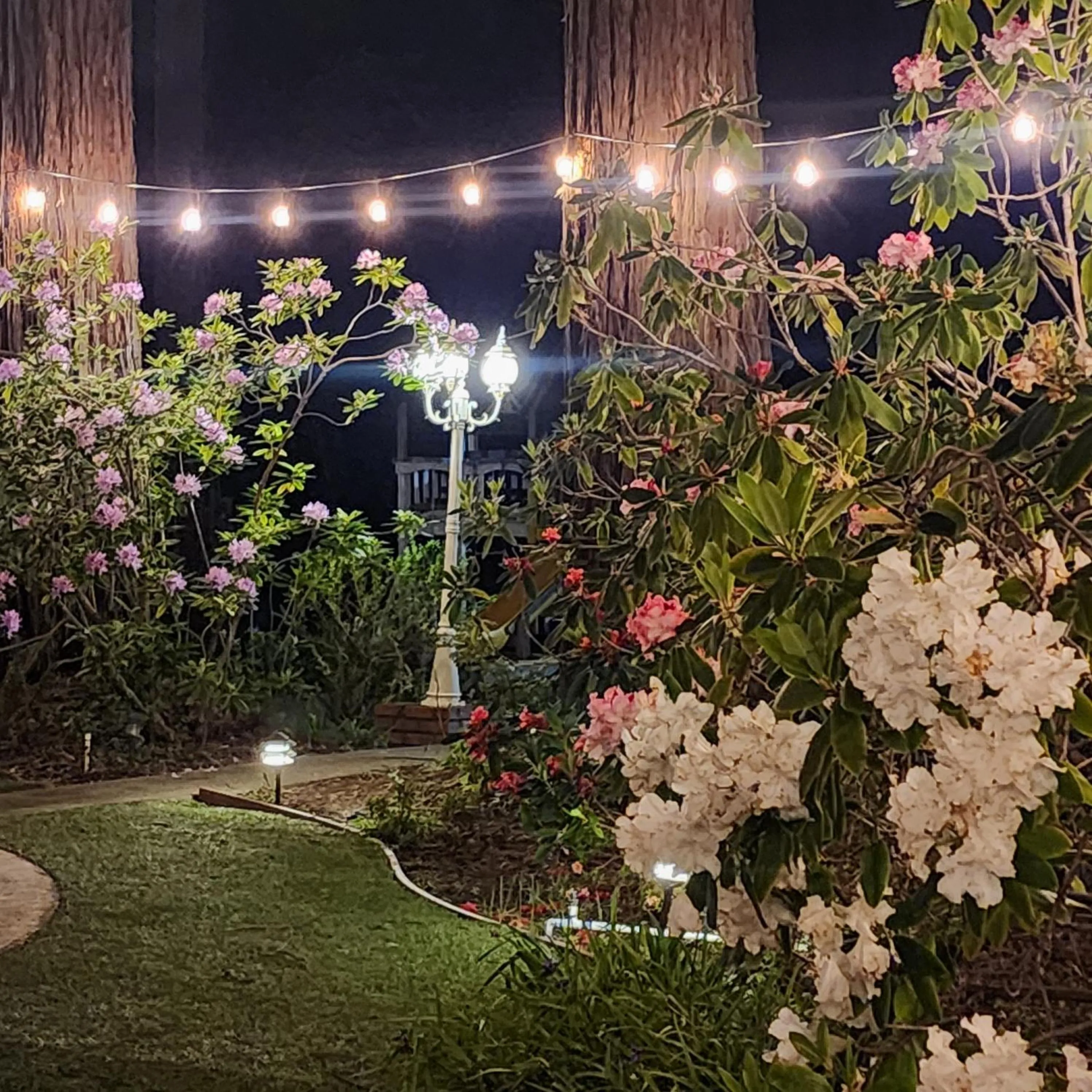 Night in Miranda Gardens Resort