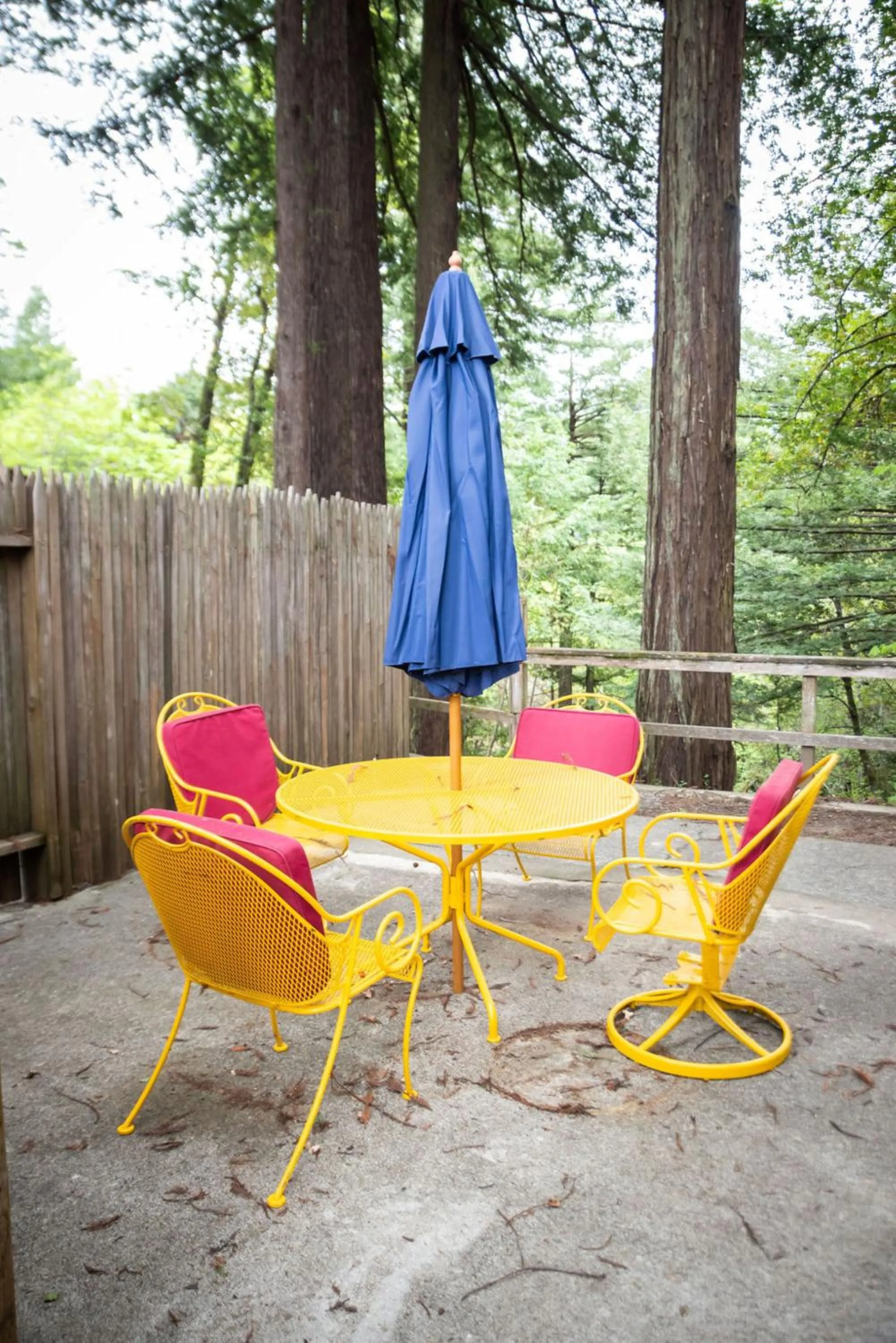 Patio in Miranda Gardens Resort