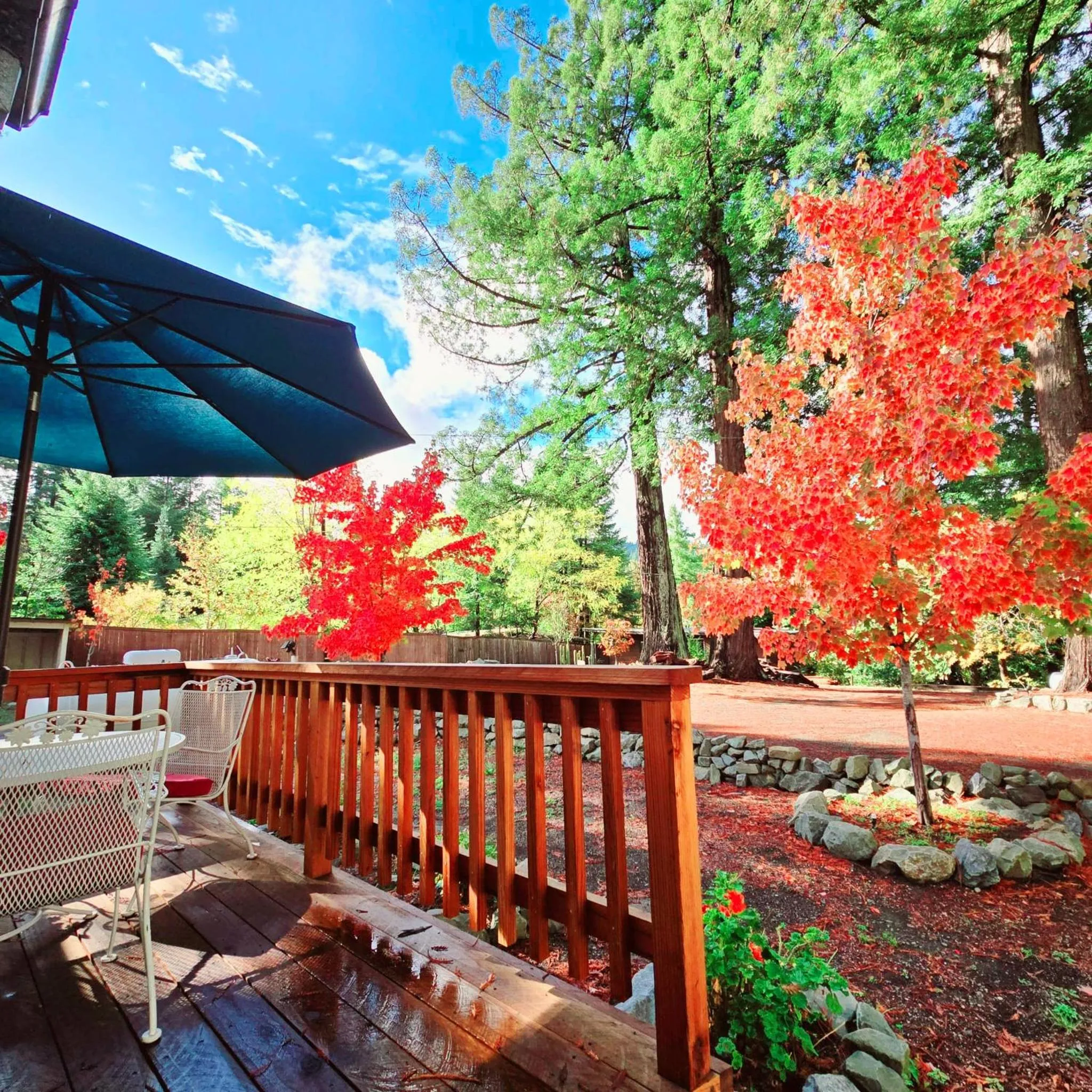 Patio in Miranda Gardens Resort