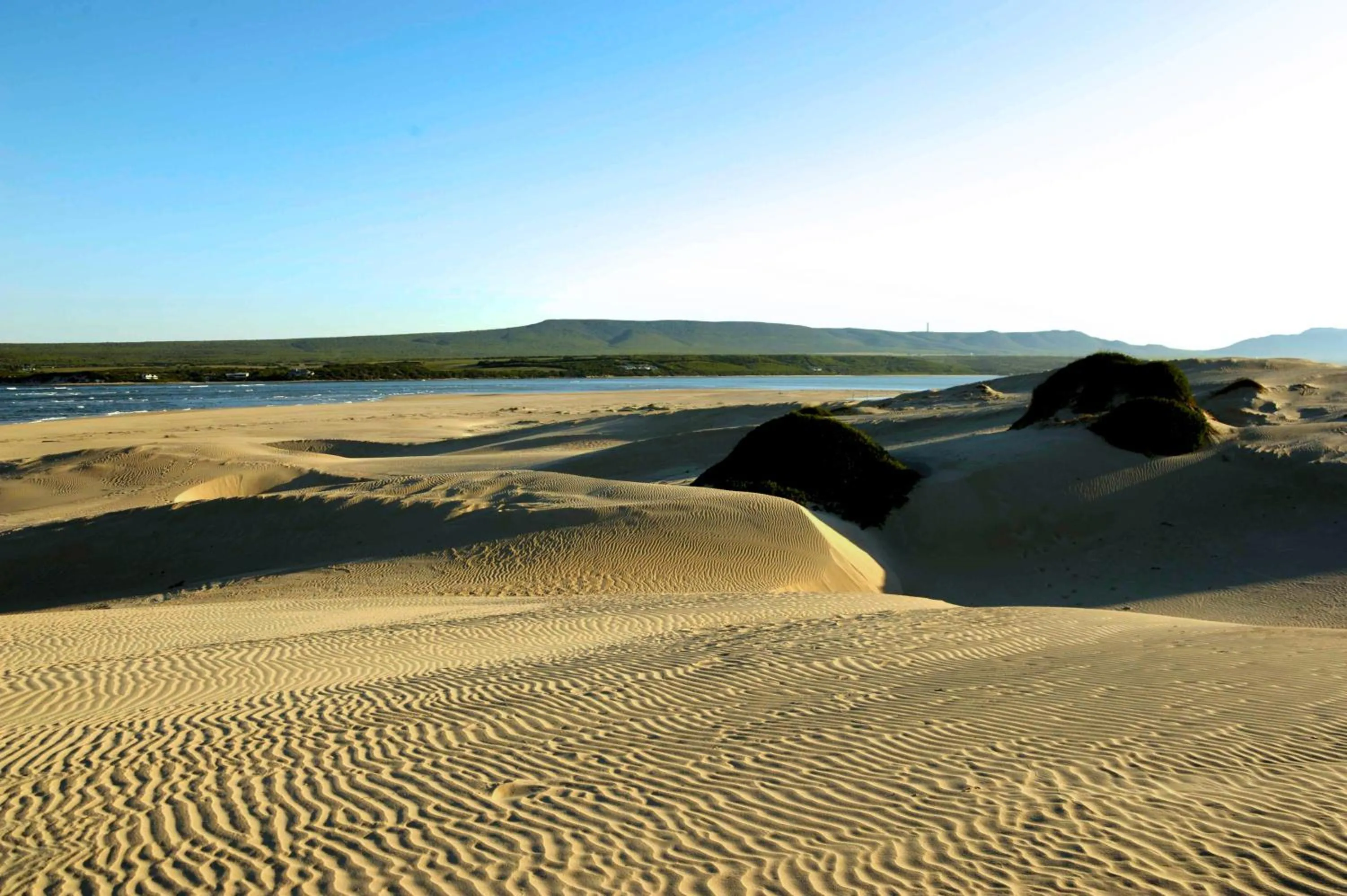 Natural landscape in Whale Watchers Inn