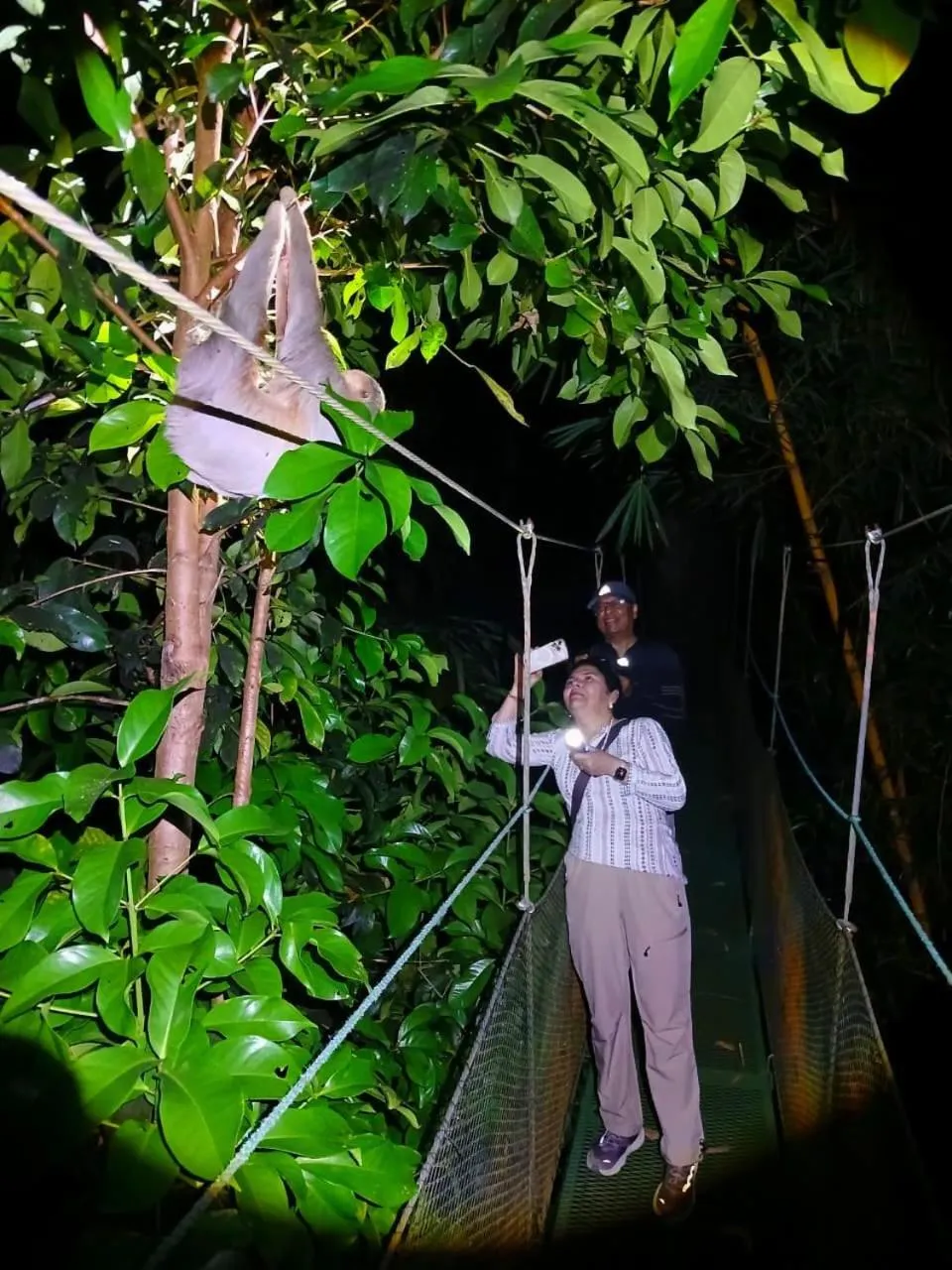 Property building in Mountain Top Park Hotel