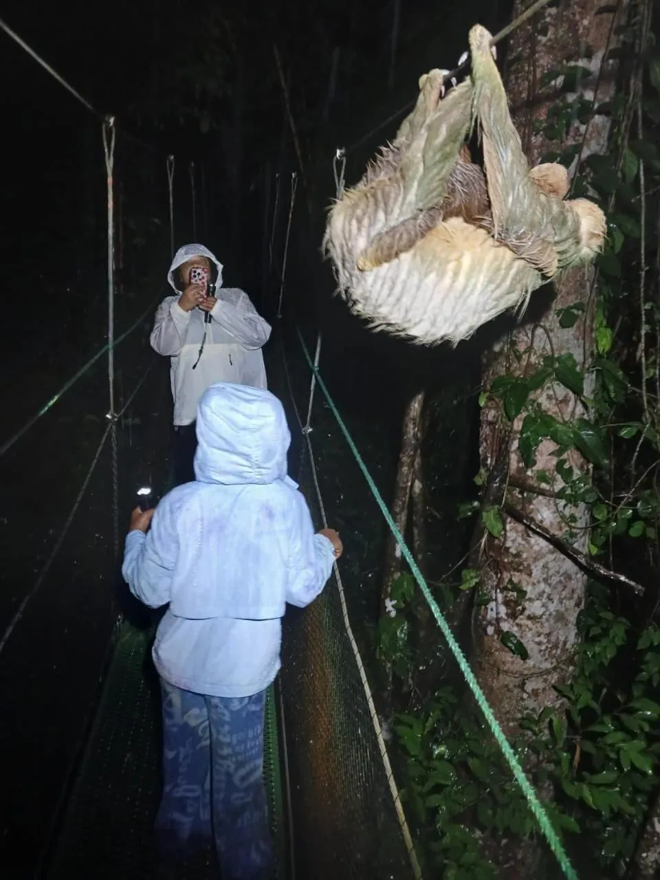 Property building in Mountain Top Park Hotel