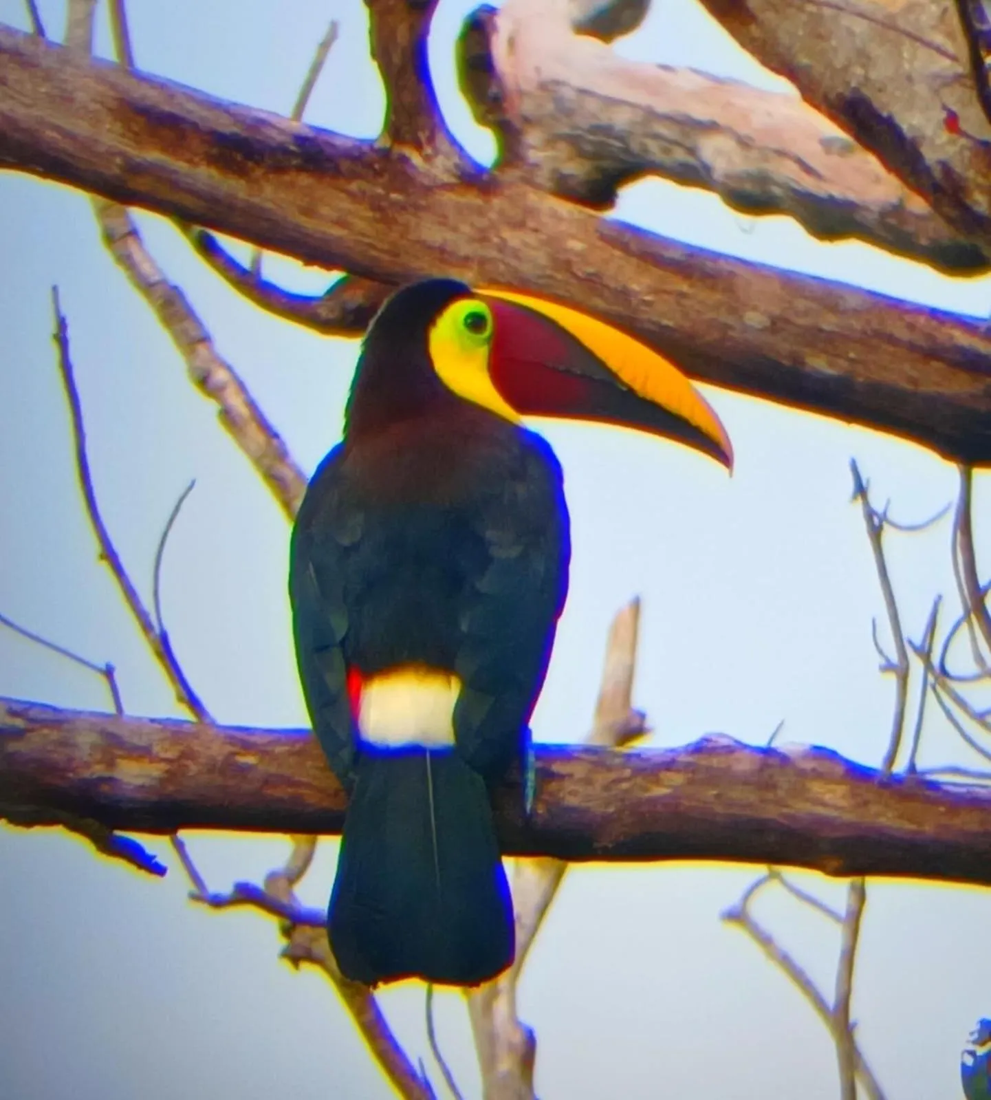 Bird's eye view in Mountain Top Park Hotel