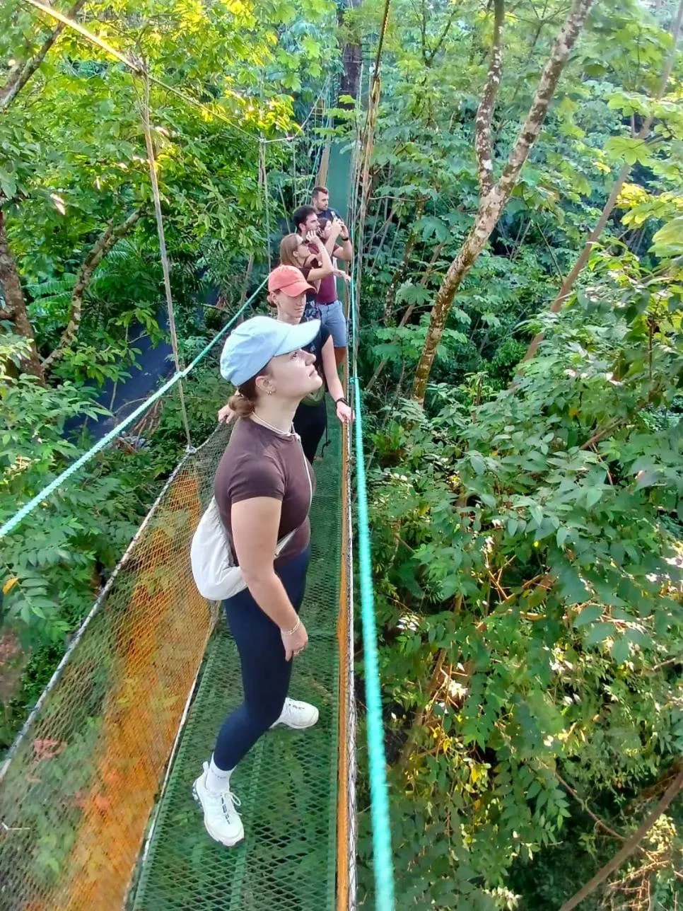 Animals in Mountain Top Park Hotel