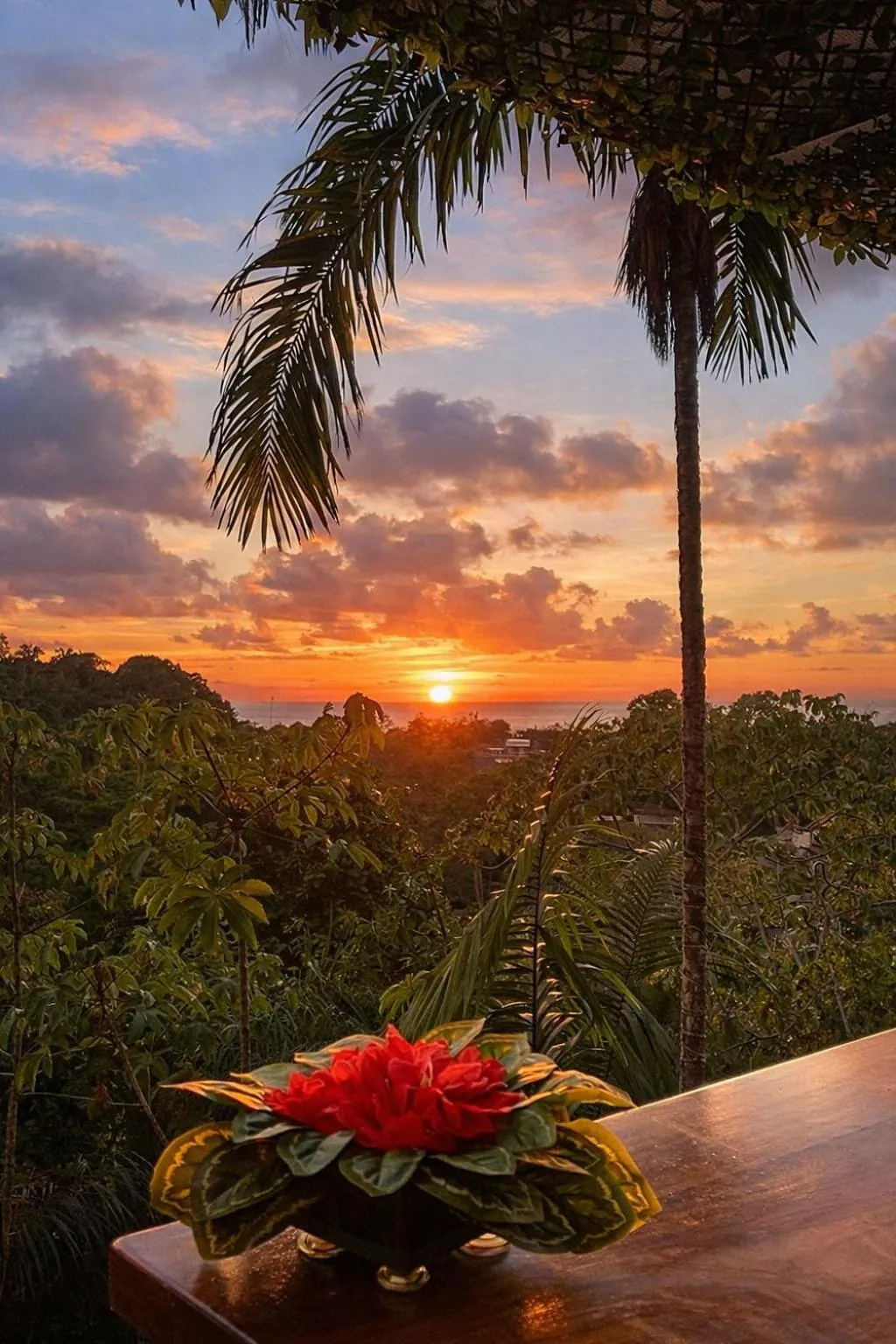 View (from property/room) in Mountain Top Park Hotel