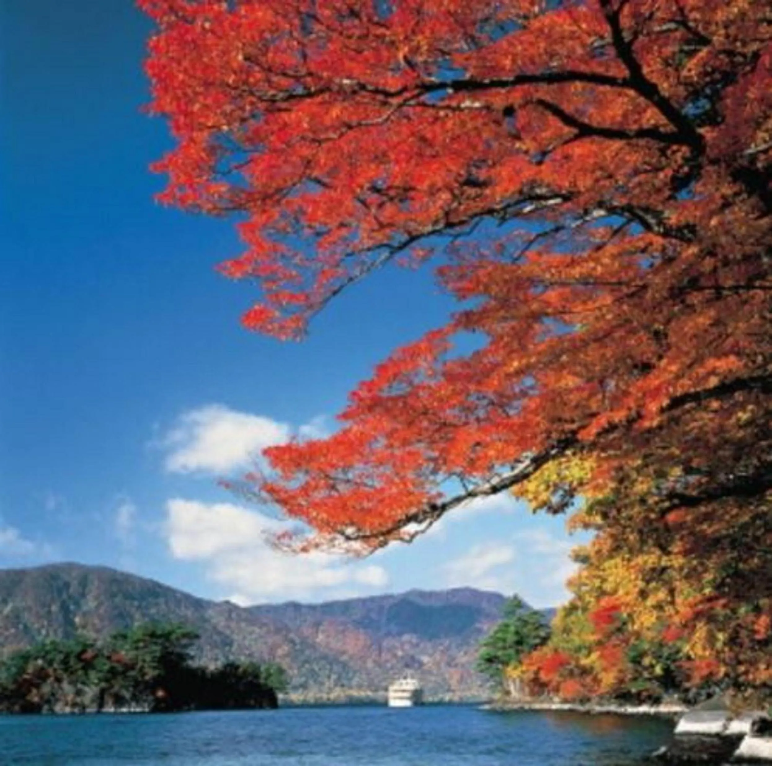 Area and facilities in Towada Prince Hotel