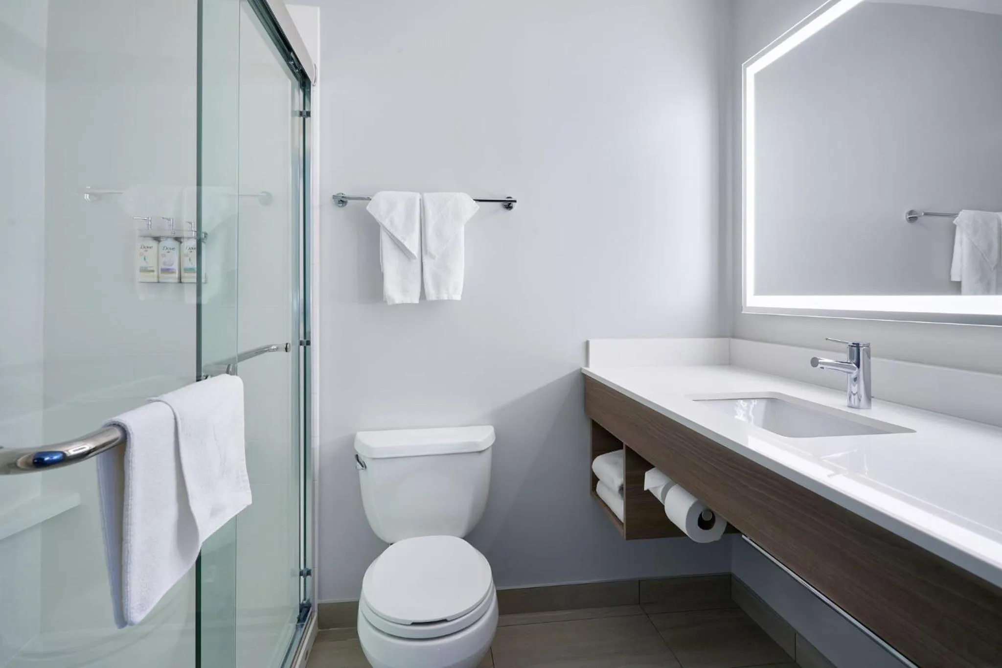 Bathroom in Holiday Inn Express Hotel & Suites Swift Current by IHG