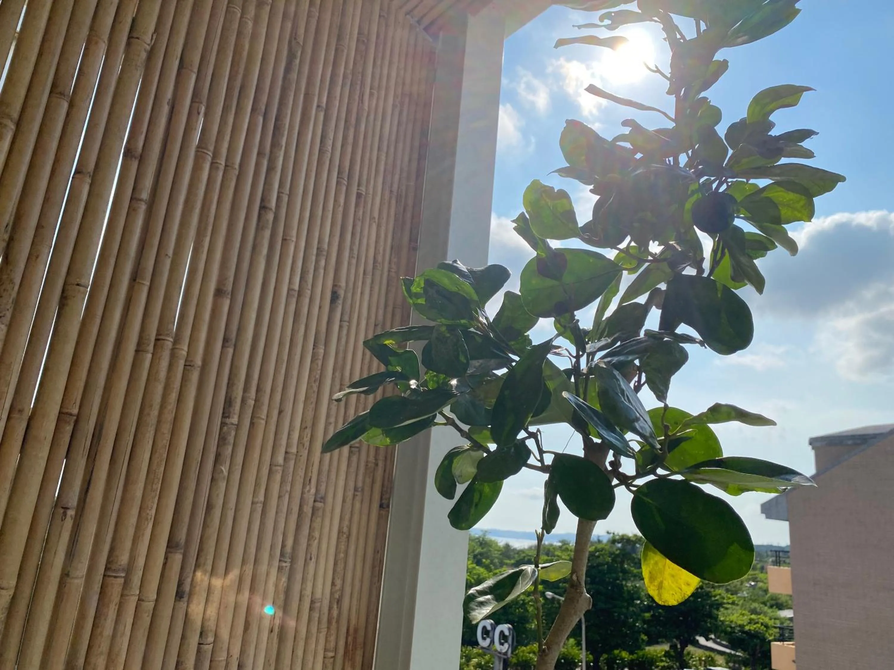 Day in The Deer Head Inn