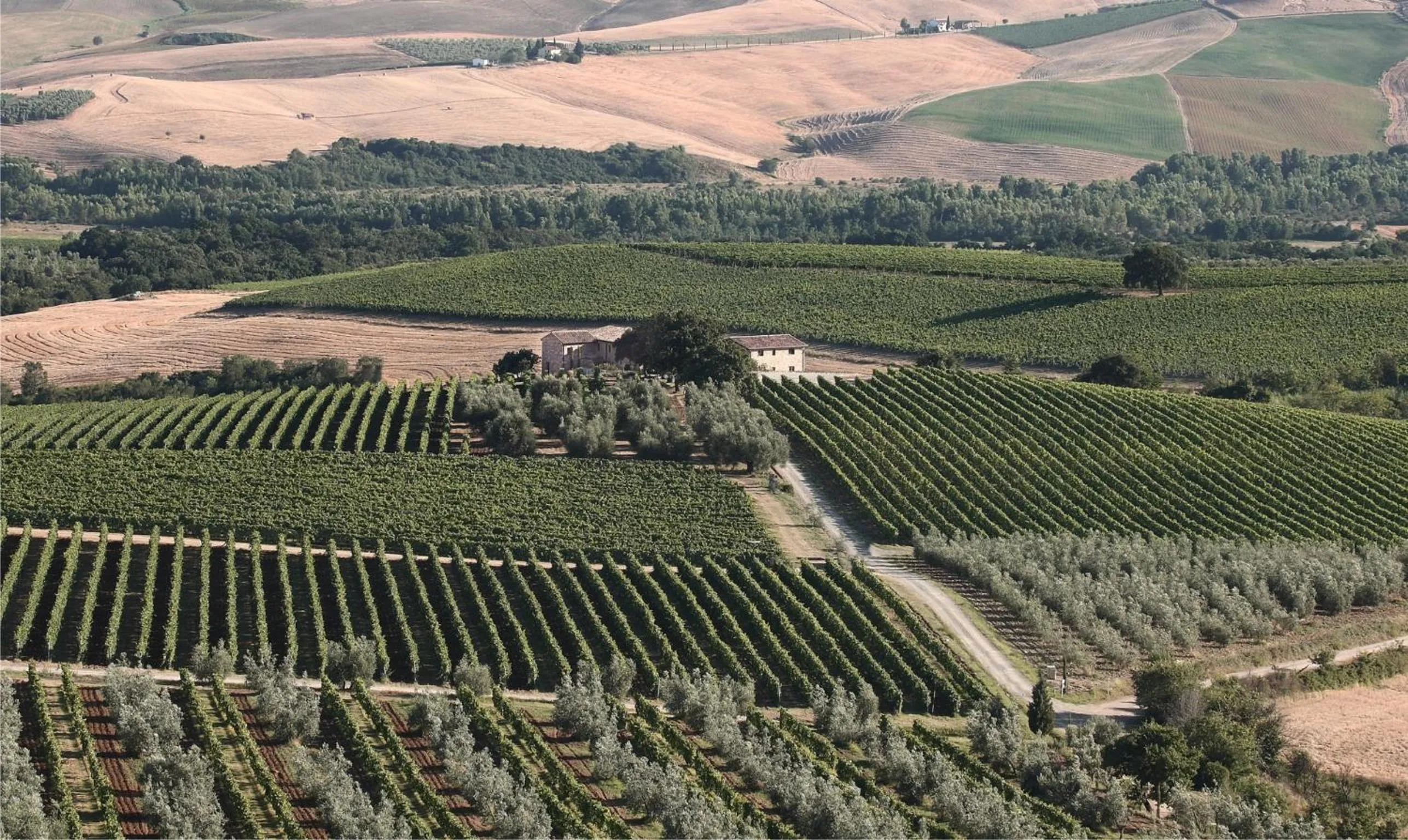 Bird's eye view in Agriturismo Il Poggione