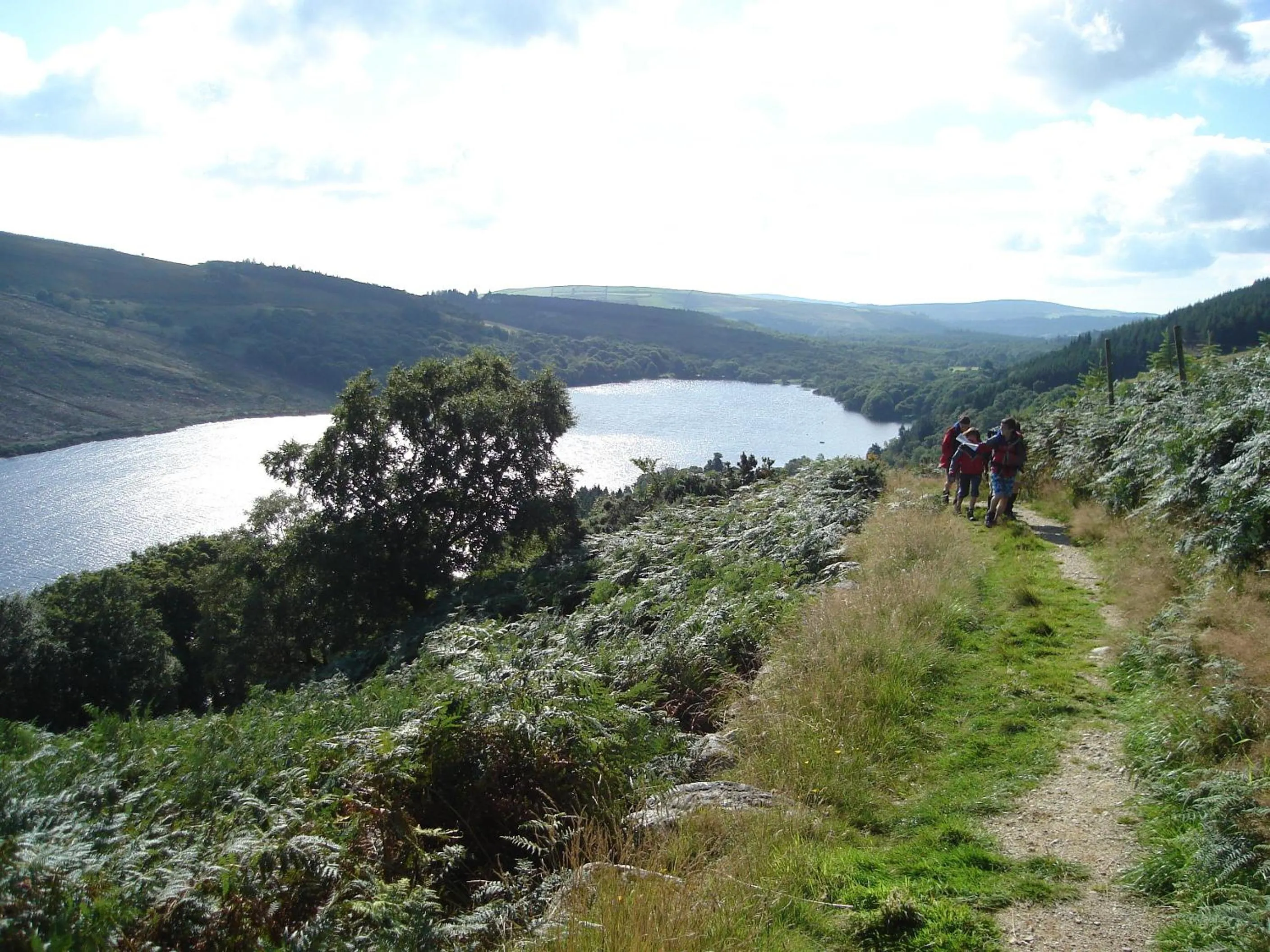 Natural landscape in Lough Dan House