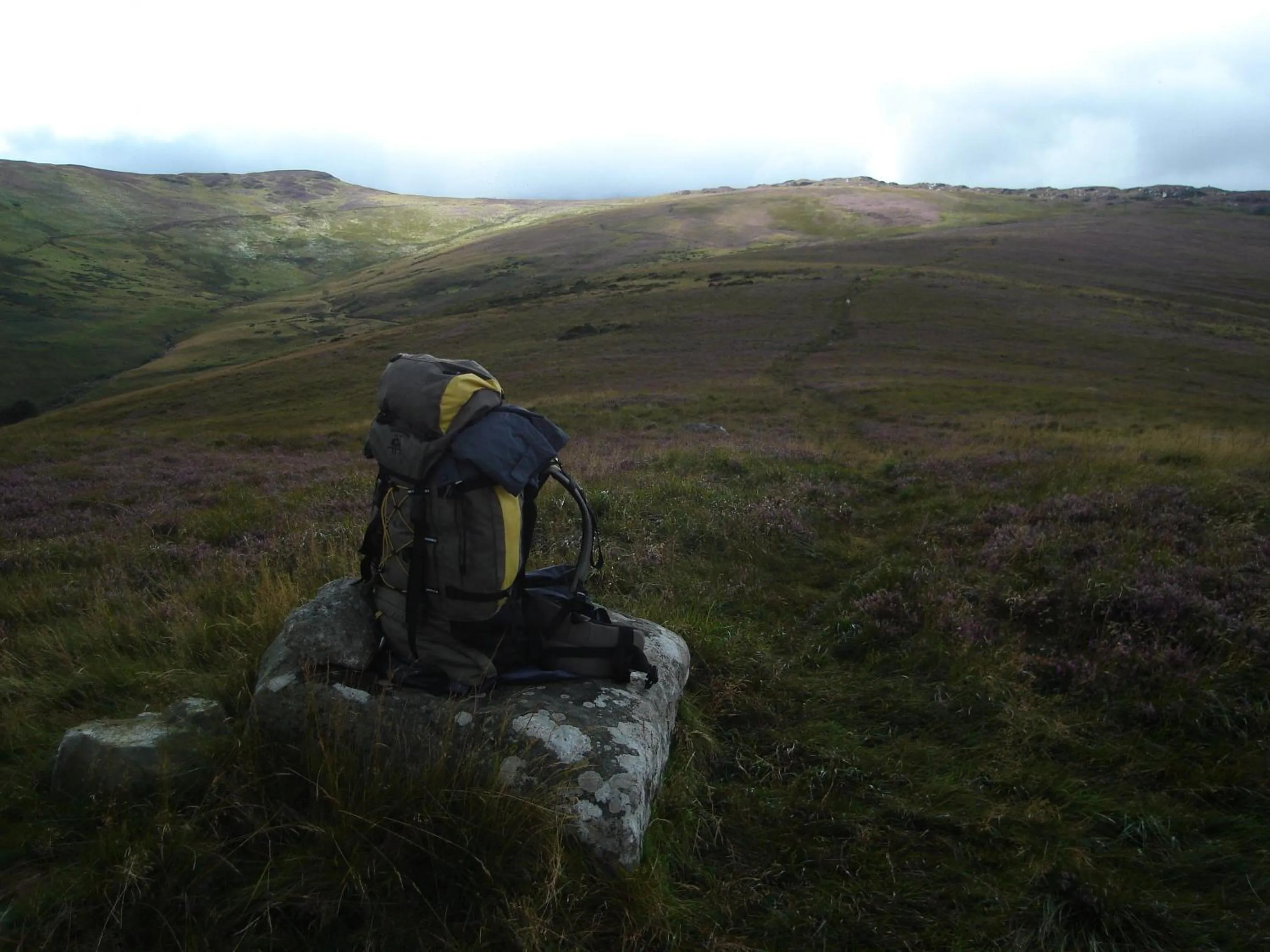 Natural landscape in Lough Dan House