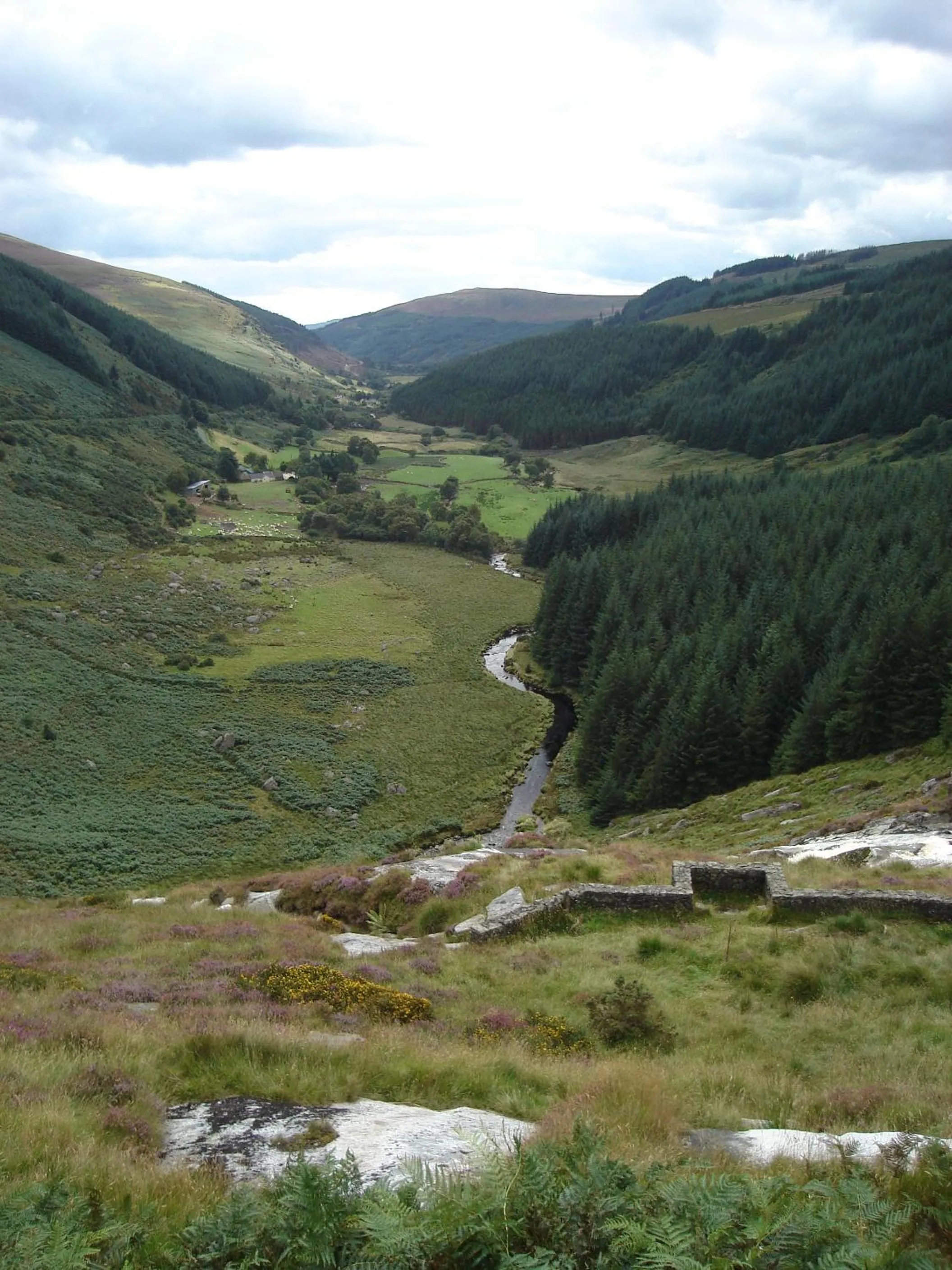 Natural landscape in Lough Dan House