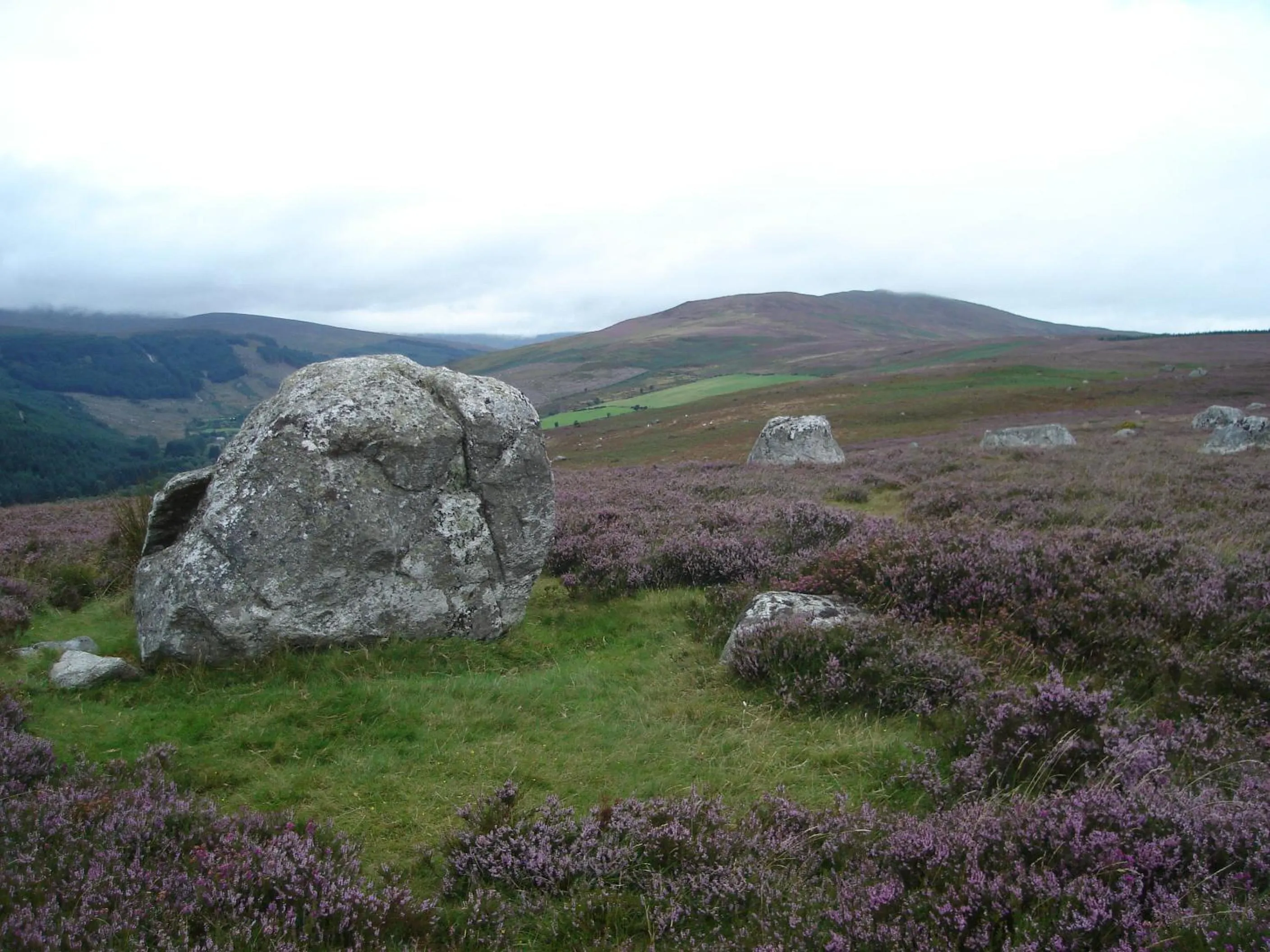 Natural landscape in Lough Dan House