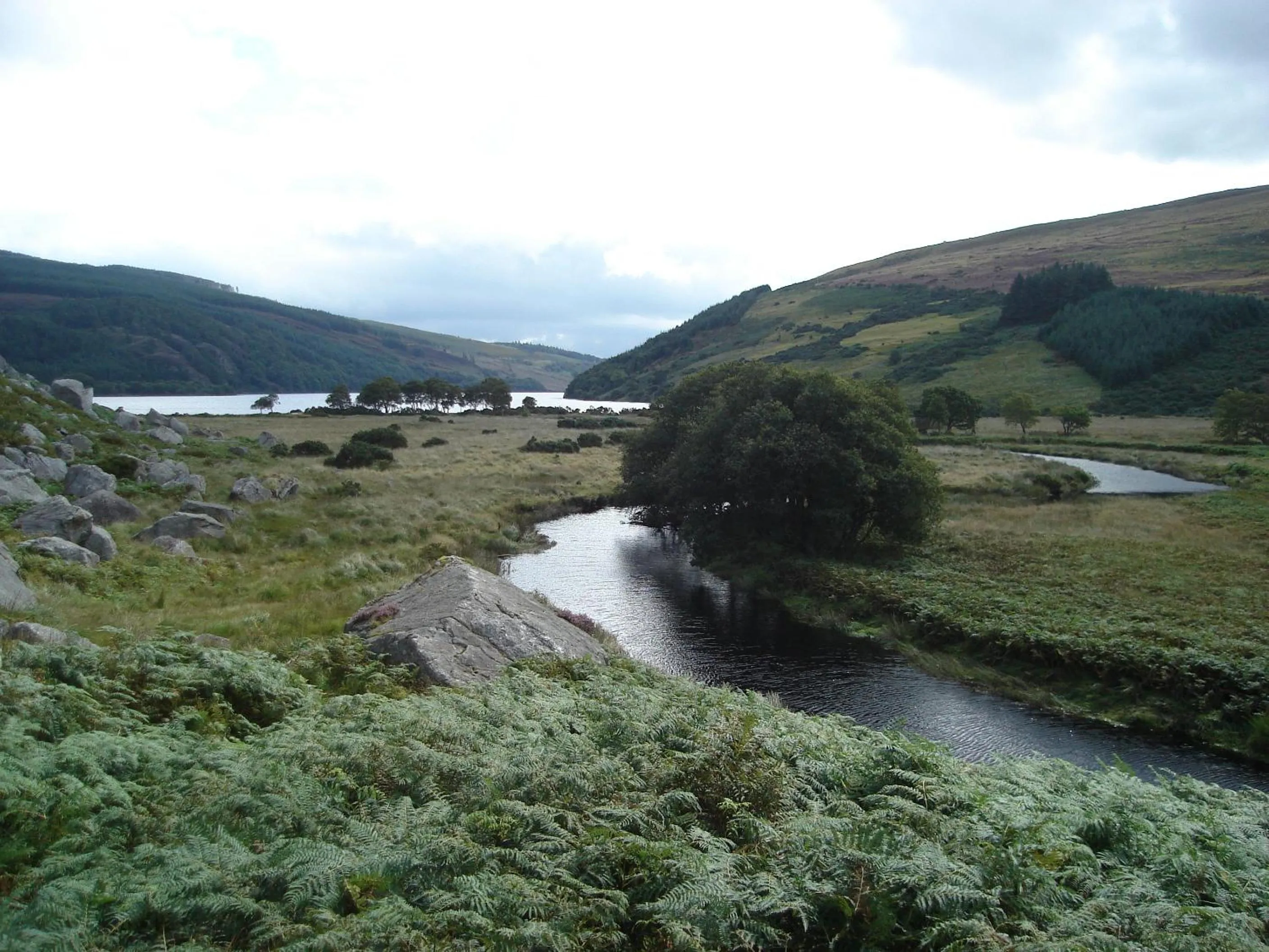 Natural landscape in Lough Dan House