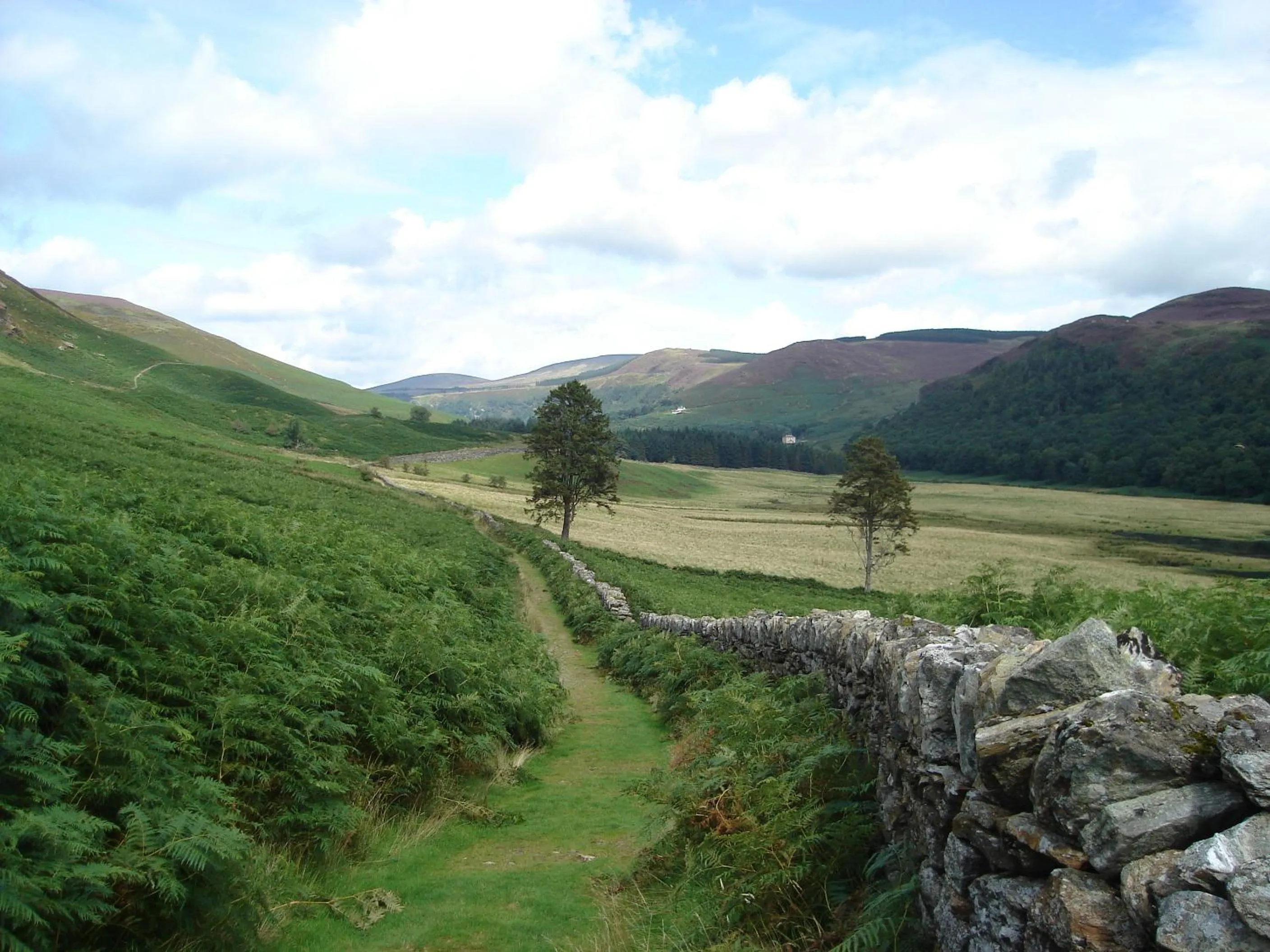 Natural landscape in Lough Dan House