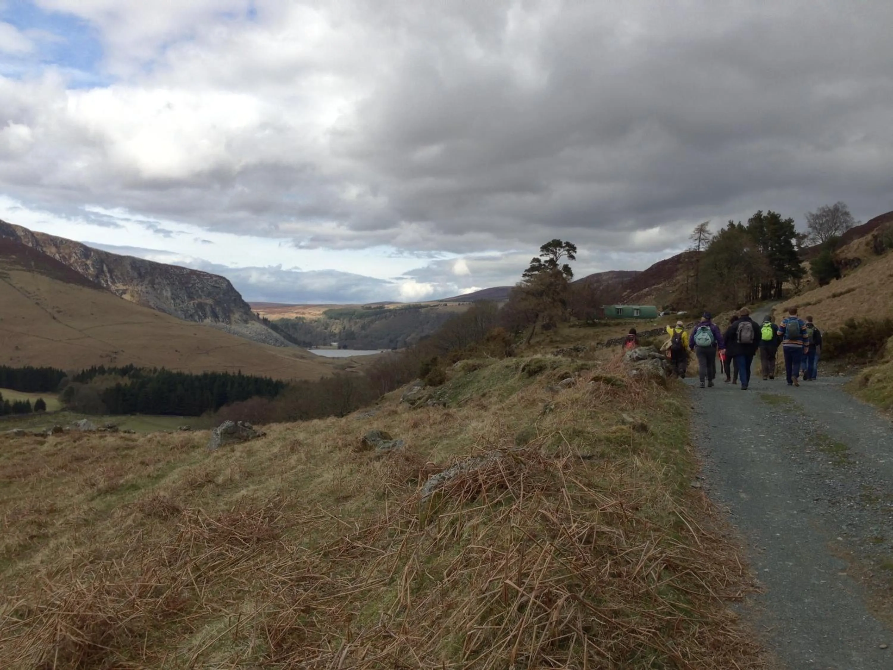 Natural landscape in Lough Dan House
