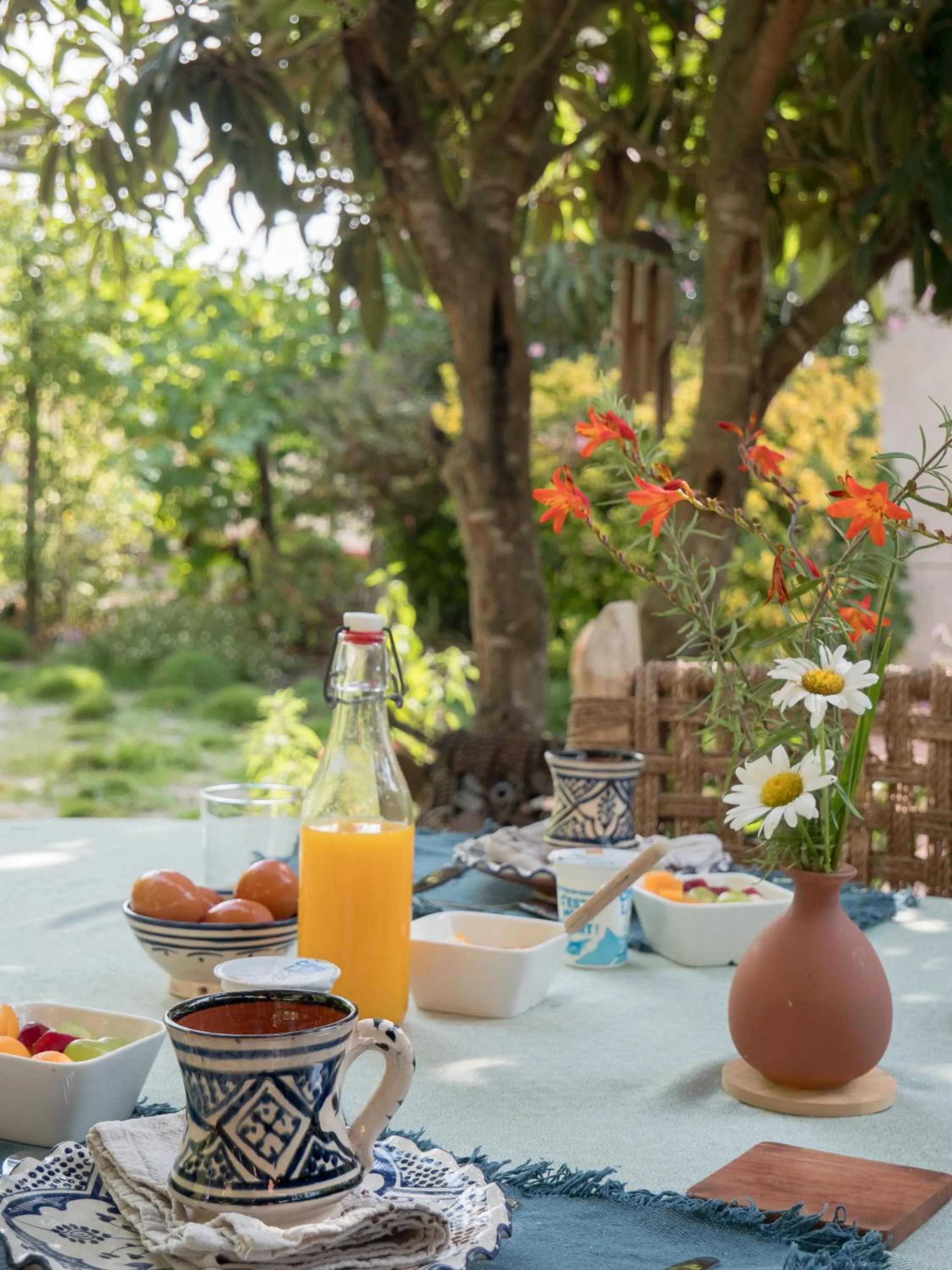 Day in Le Mas de la Prade