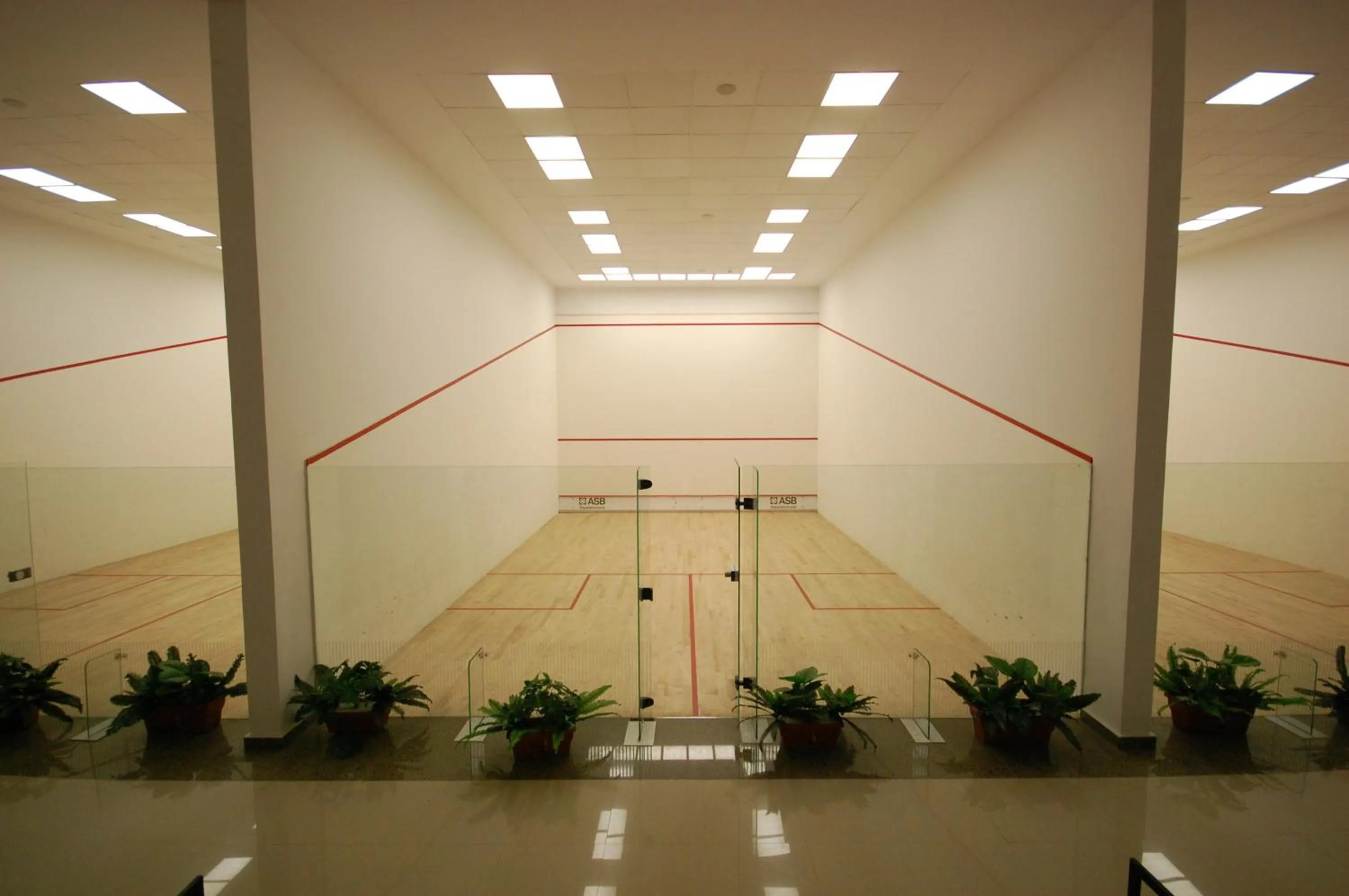 Squash in Jewel Sport City and Aqua Park