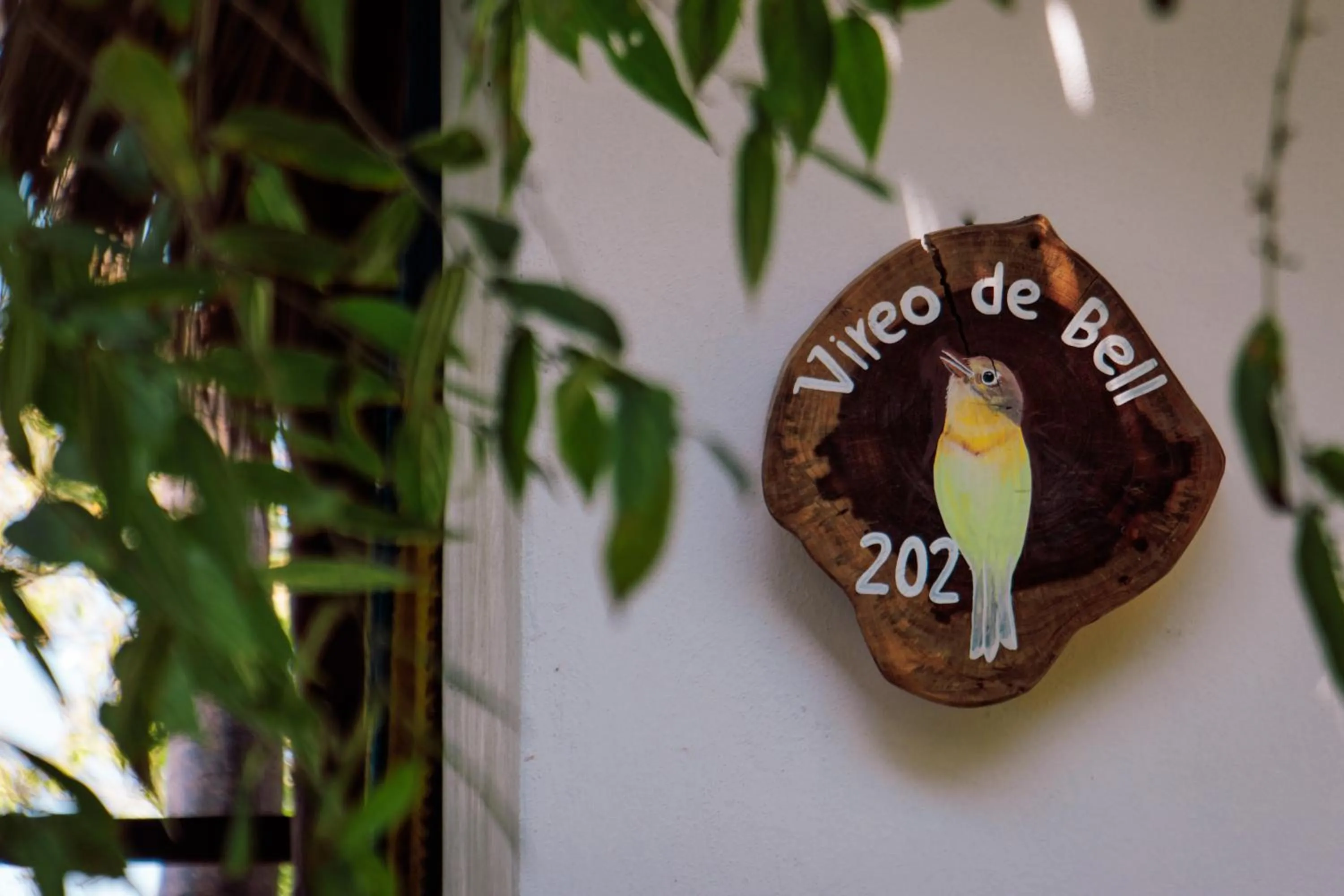 Property building in Hotel Ruunda