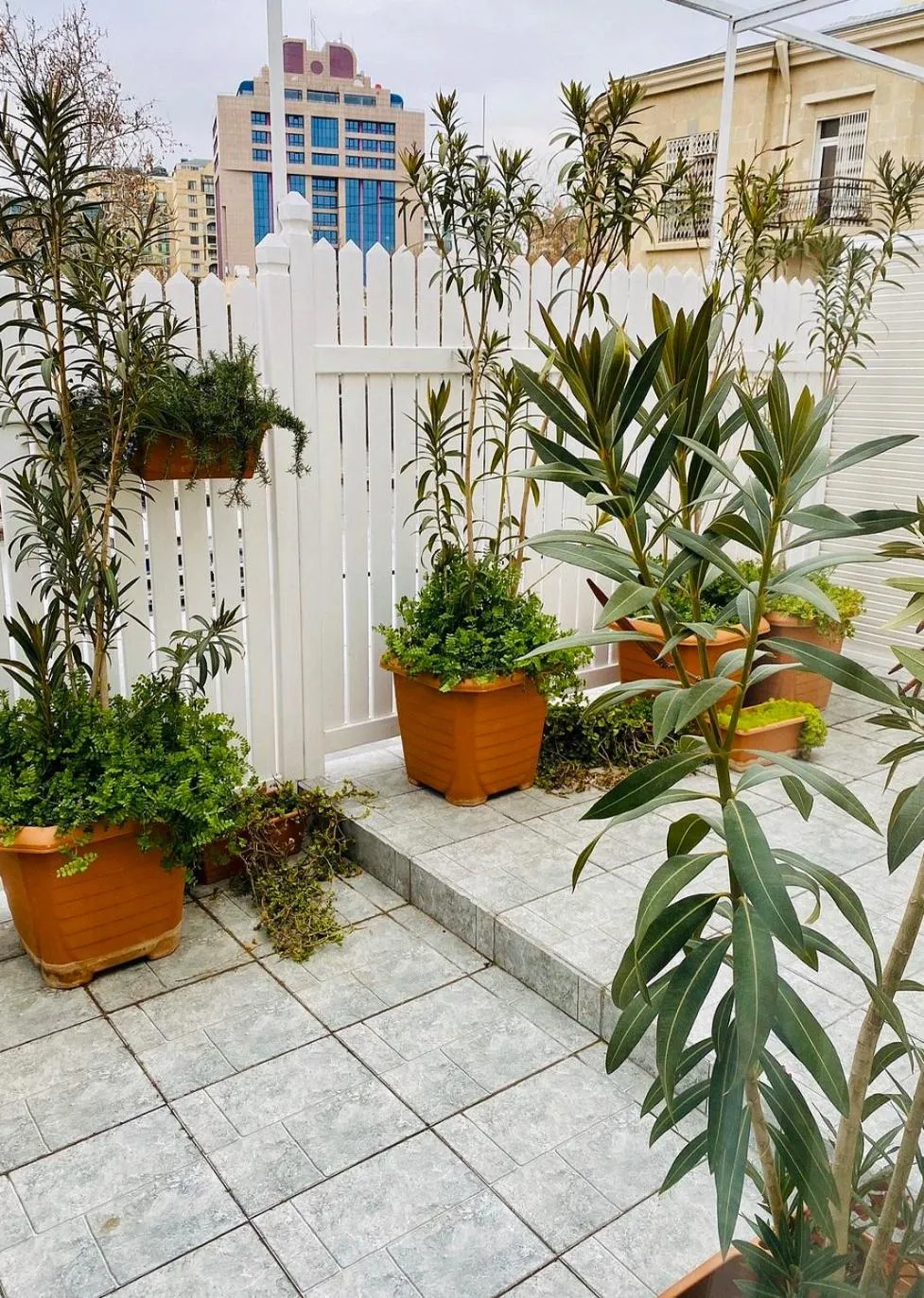 Balcony/Terrace in Zimmer Boutique Hotel