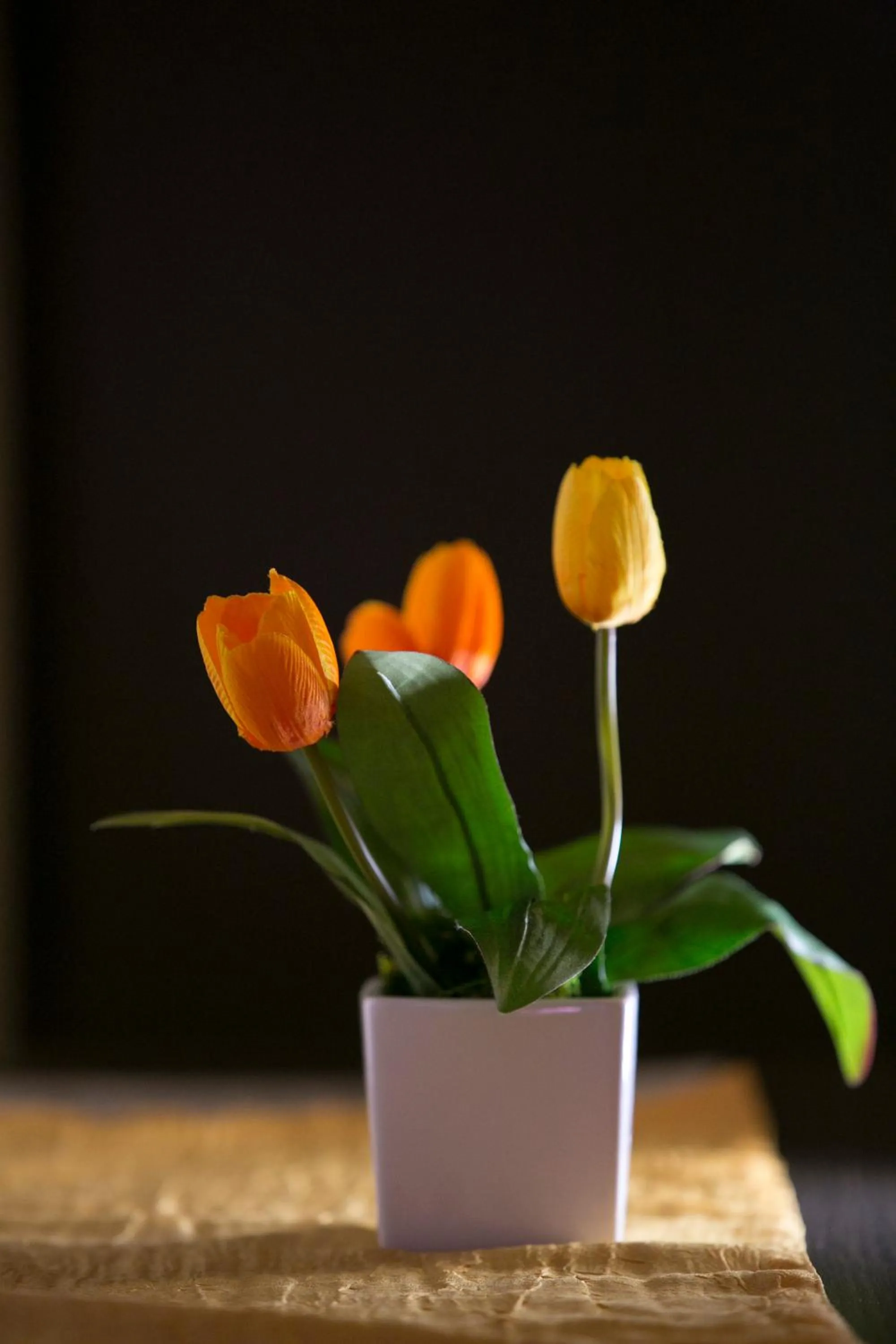 Rotte e Sentieri B&B