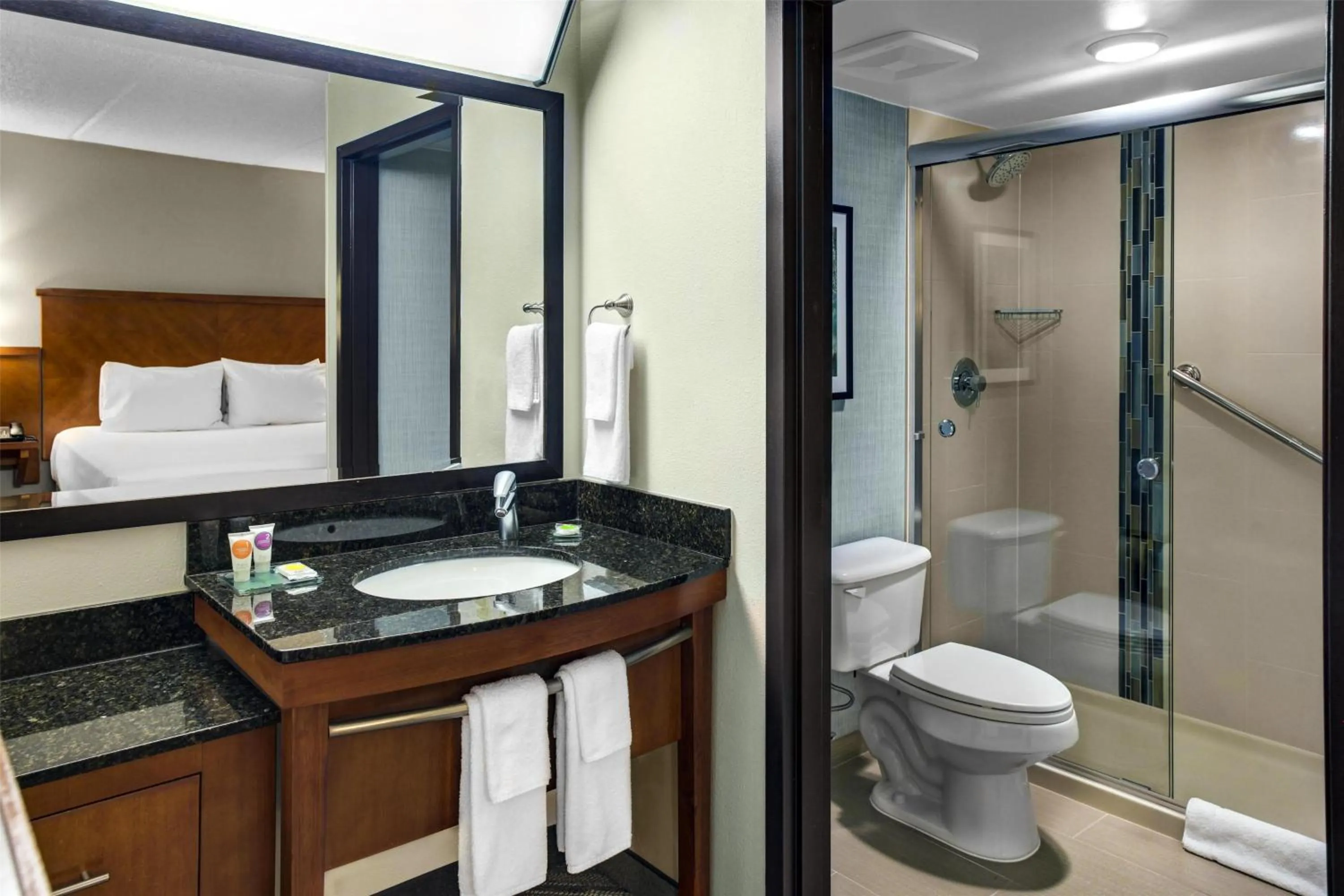 Bathroom in Hyatt Place Detroit/Auburn Hills