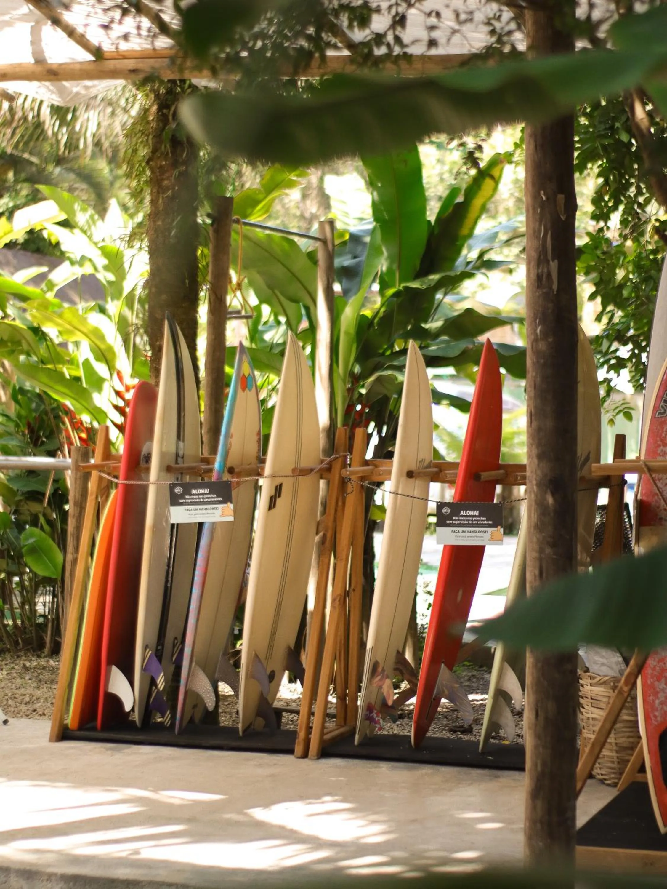 Garden in Pousada e Hostel Marthi